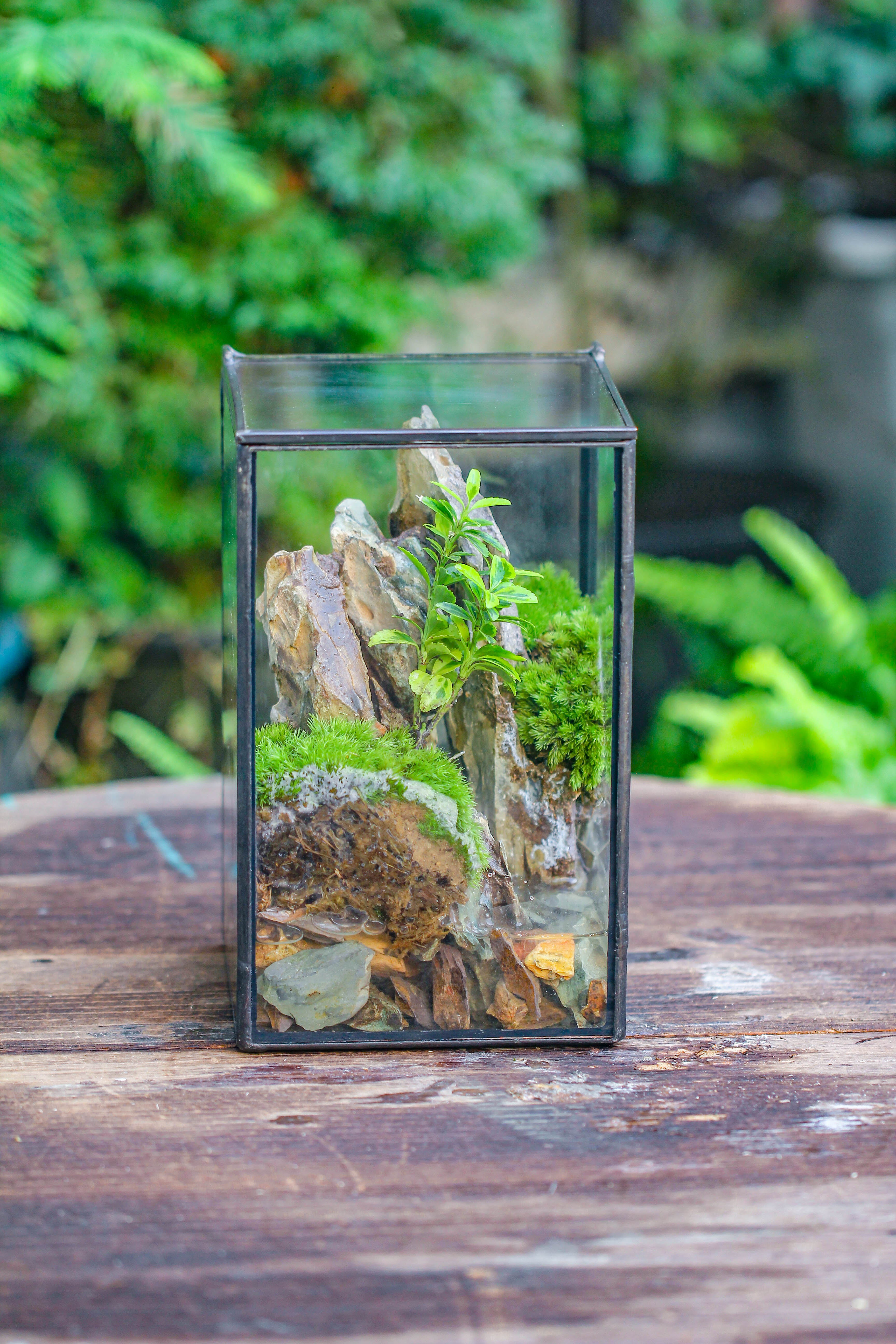NCYP Watertight Close Geometric Glass Tin Terrarium, for small waterpond, moss landscape, Live Miniature, water pond, miniature - NCYPgarden