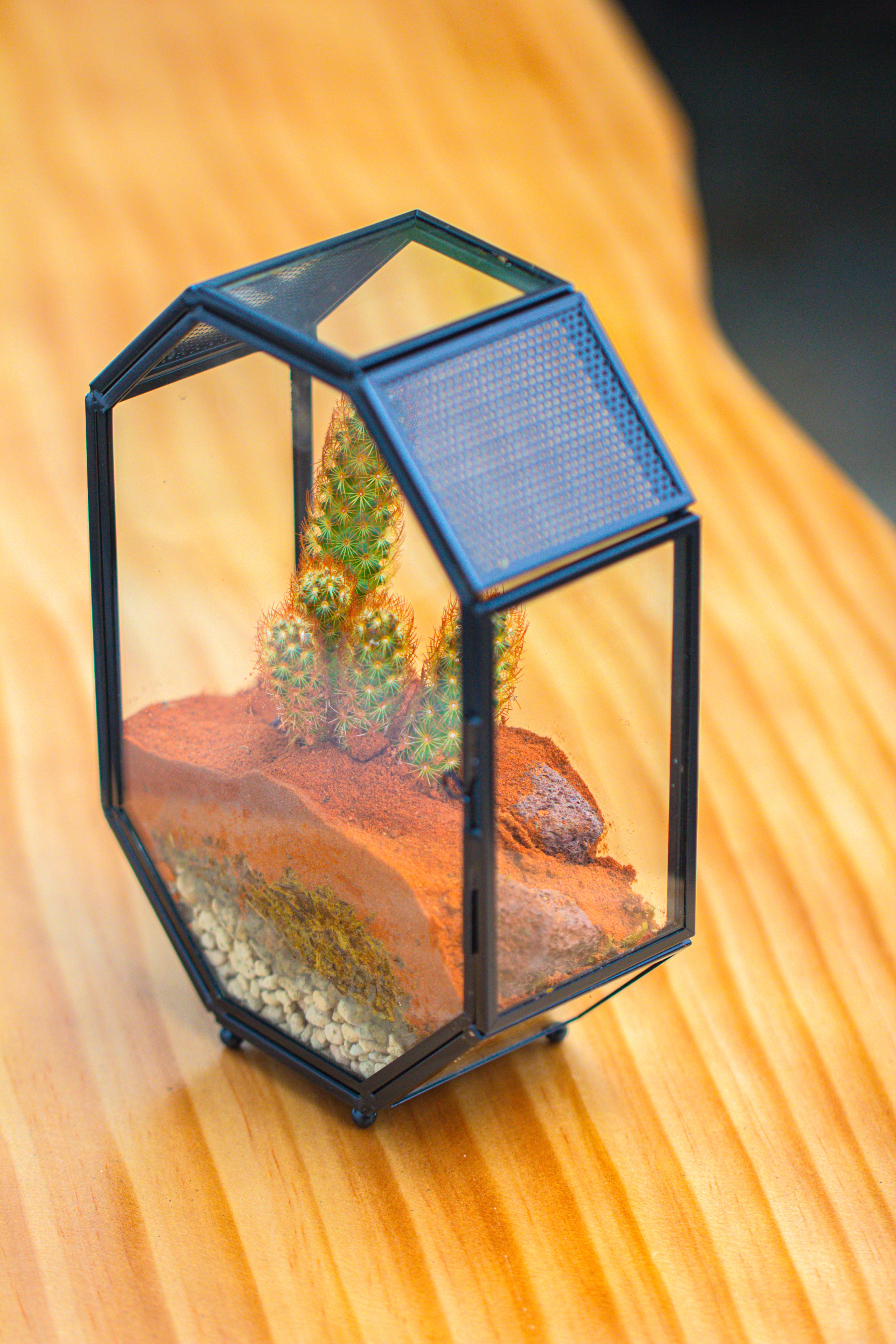 Mini 5x7 inches Octagon Shape Glass Geometric Terrarium Enclosure with Side Vent  for Small Insect, Jumping Spider - NCYPgarden