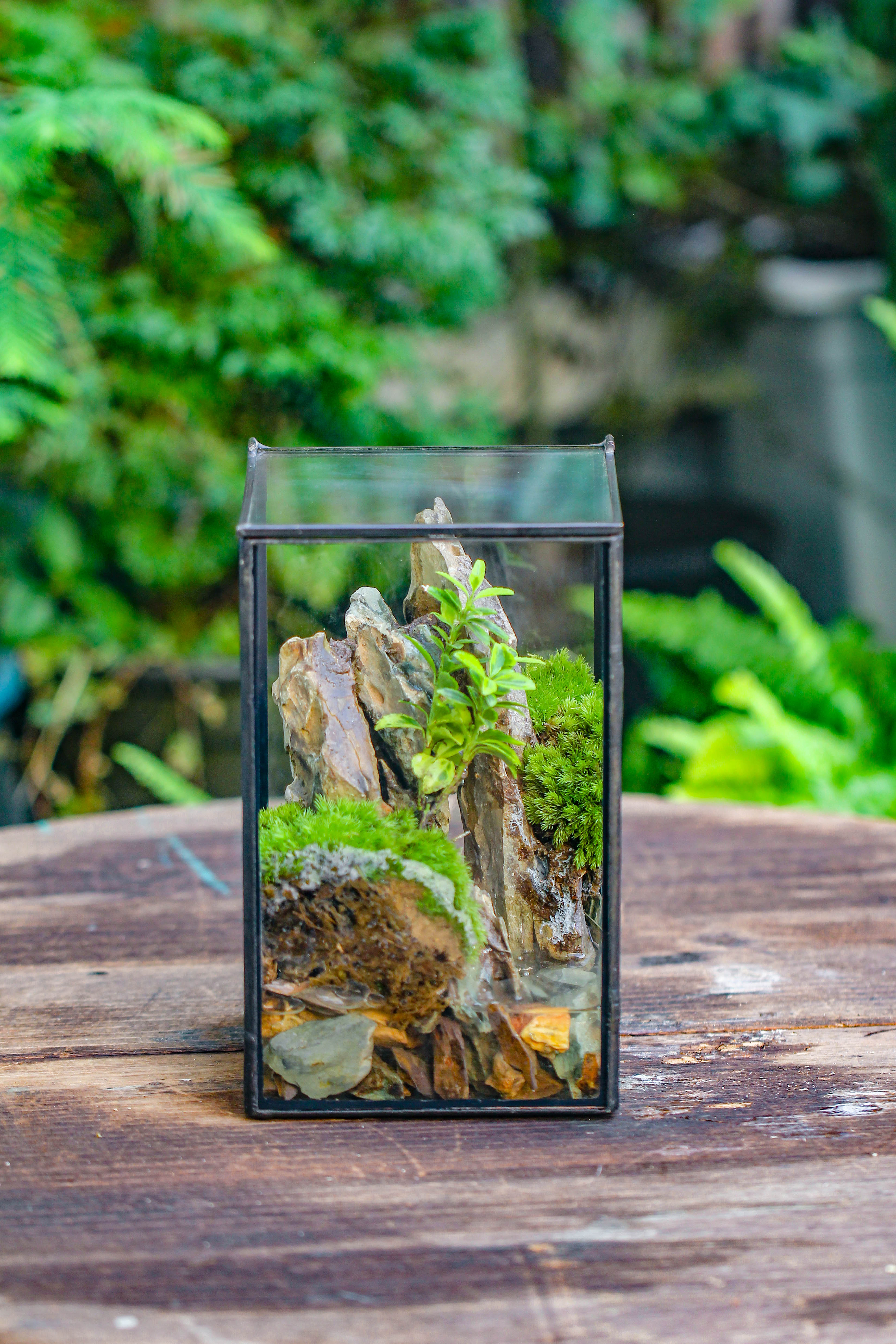 NCYP Watertight Close Geometric Glass Tin Terrarium, for small waterpond, moss landscape, Live Miniature, water pond, miniature - NCYPgarden