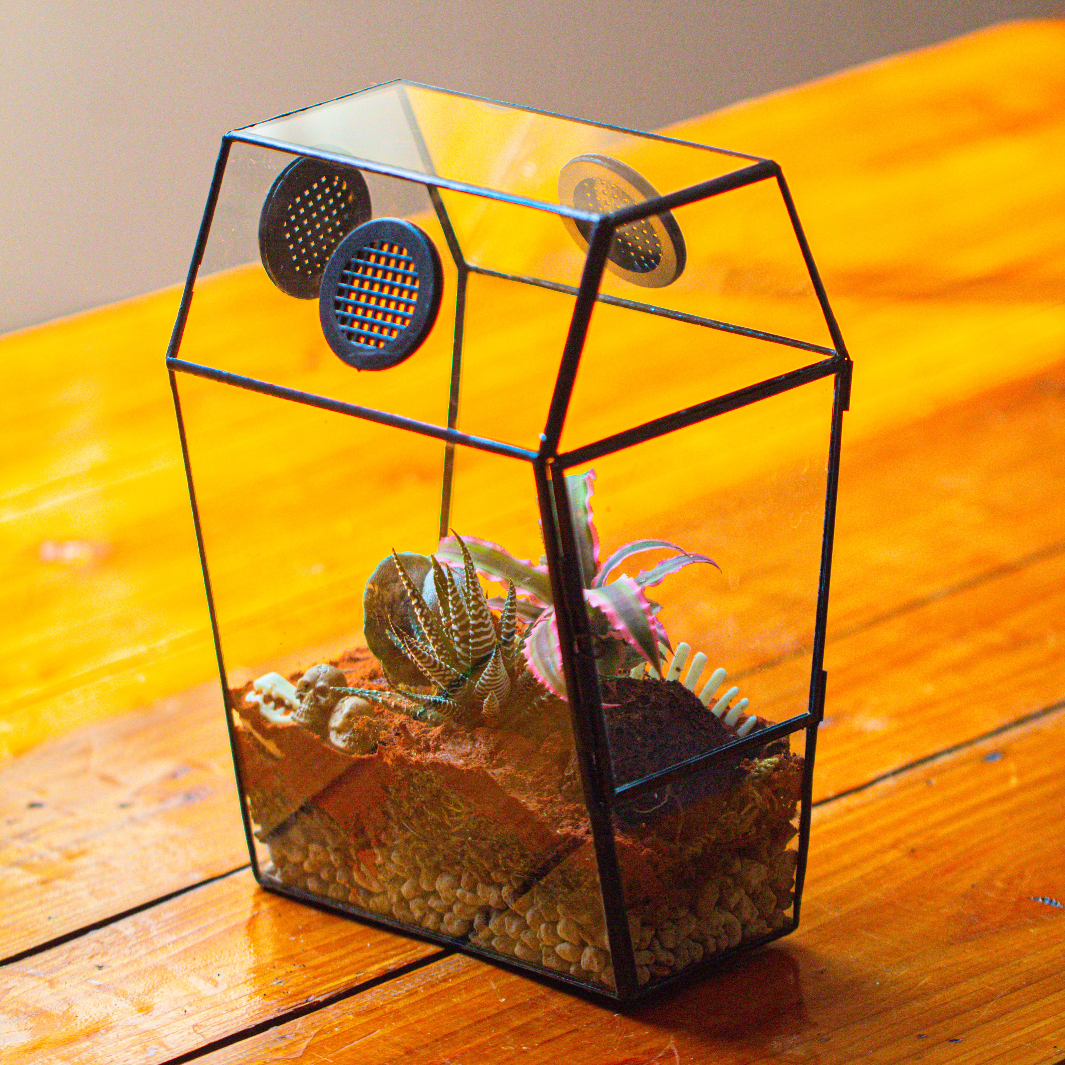 Coffin-Shaped Tin Glass Terrarium Enclosure, Gothic Style, for Jumping Spider, Insects, Snails - NCYPgarden