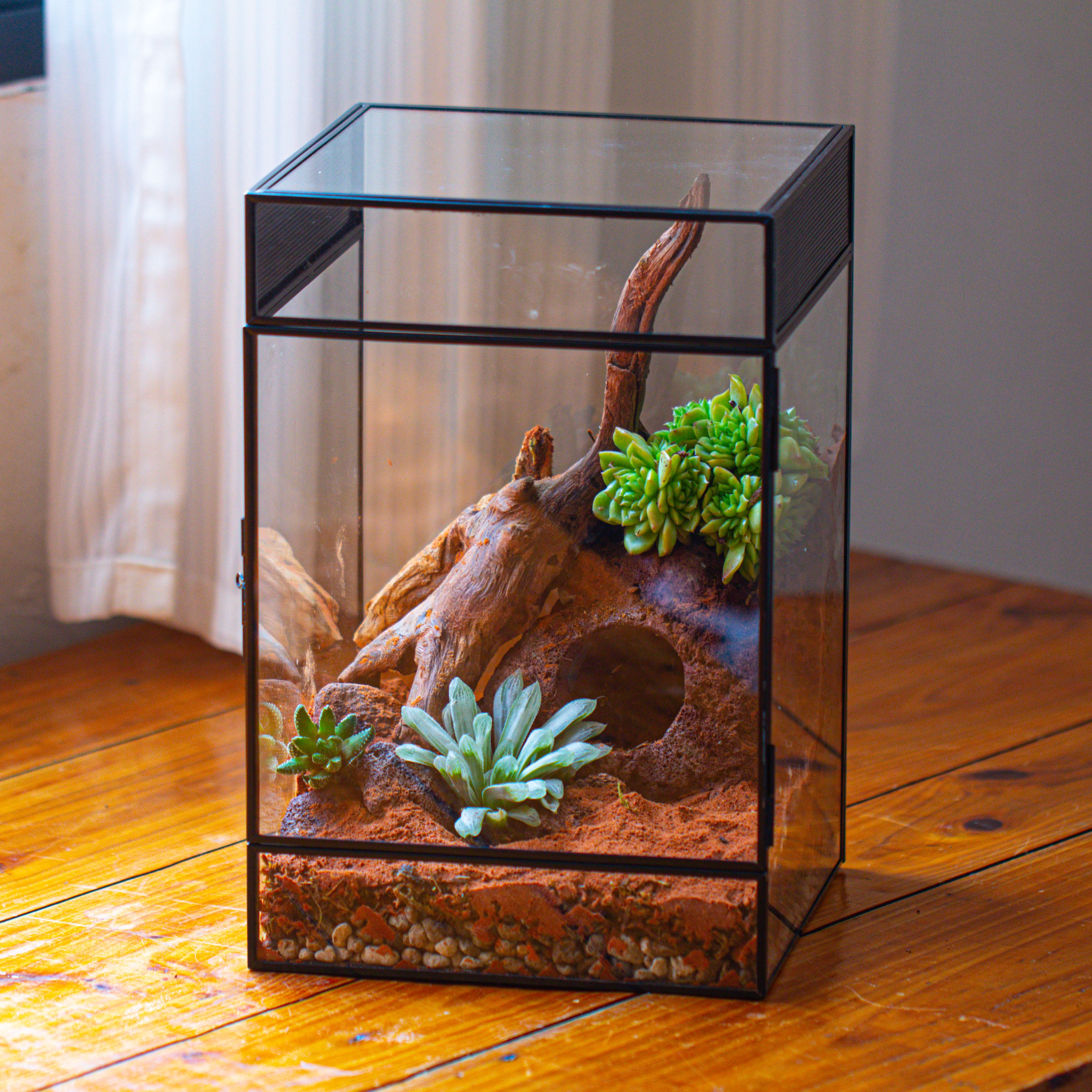 8x8x12 inches Large Handmade Glass Geometric Terrarium with Side Vent, for large insects - NCYPgarden