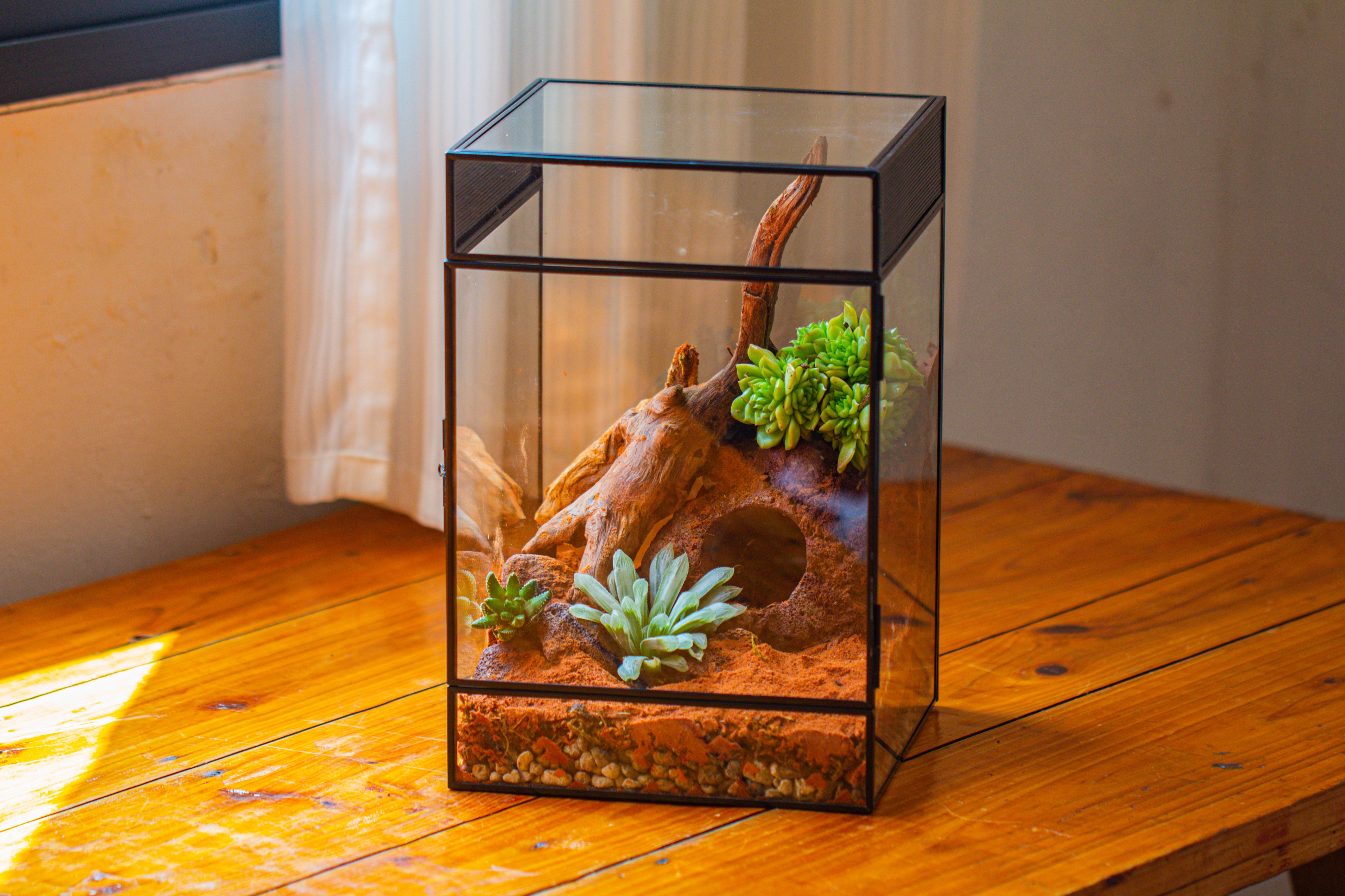 8x8x12 inches Large Handmade Glass Geometric Terrarium with Side Vent, for large insects - NCYPgarden