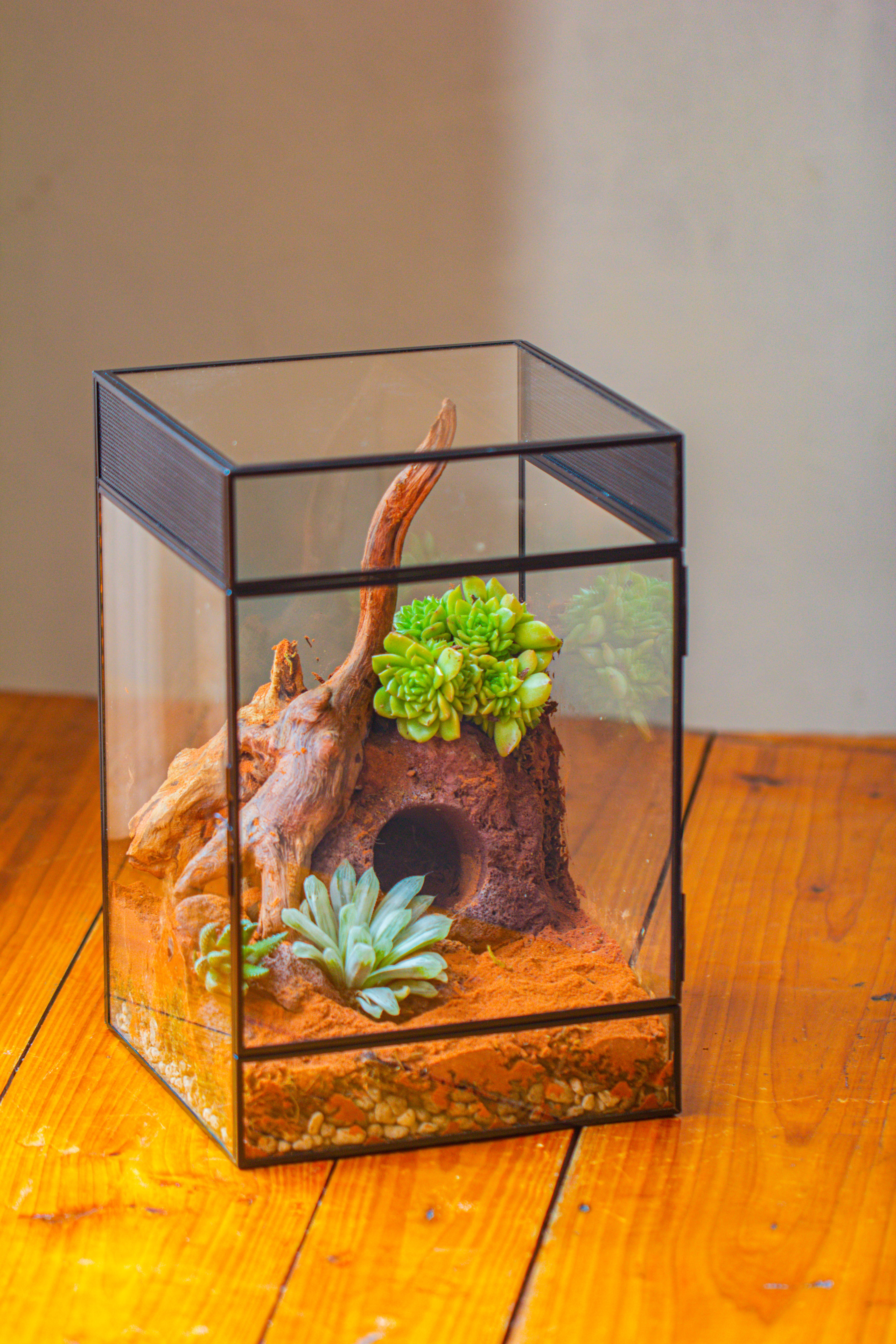 8x8x12 inches Large Handmade Glass Geometric Terrarium with Side Vent, for large insects - NCYPgarden