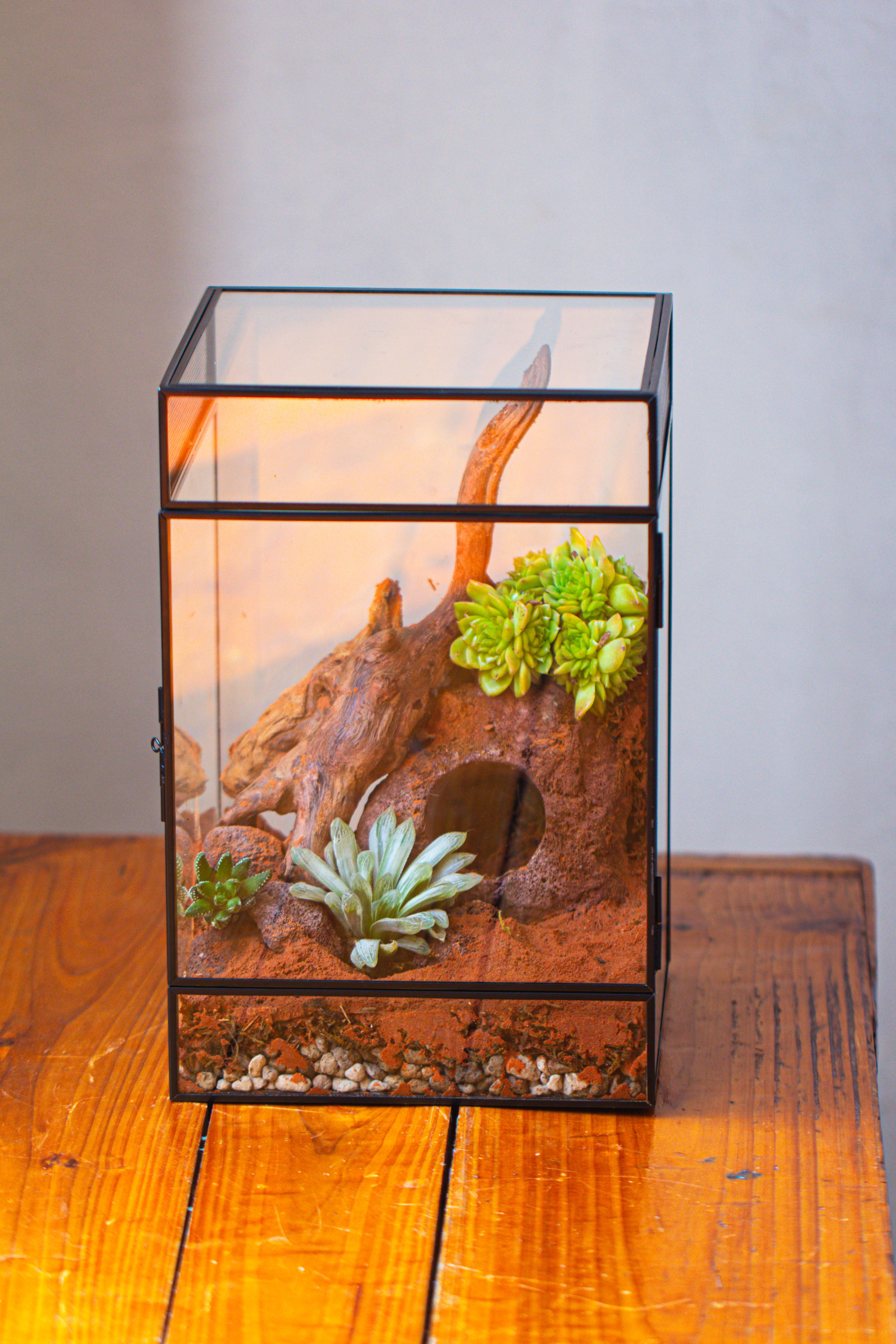 8x8x12 inches Large Handmade Glass Geometric Terrarium with Side Vent, for large insects - NCYPgarden