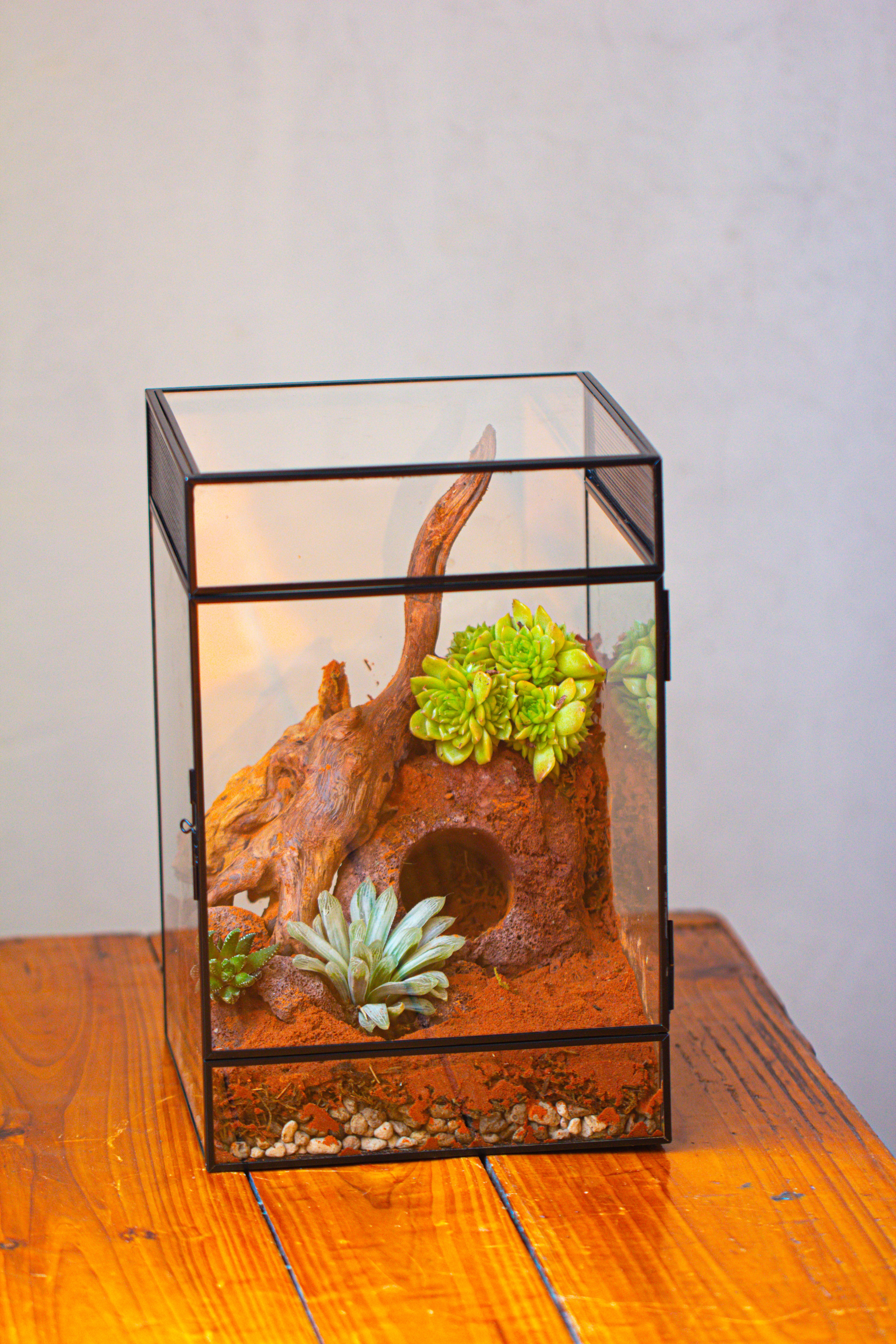 Geometrisches Glas-Terrarium 18x18x15 Cm – Moderner Blumentopf Aus Glas & Zinn, Ideal Für Sukkulenten & Luftpflanzen