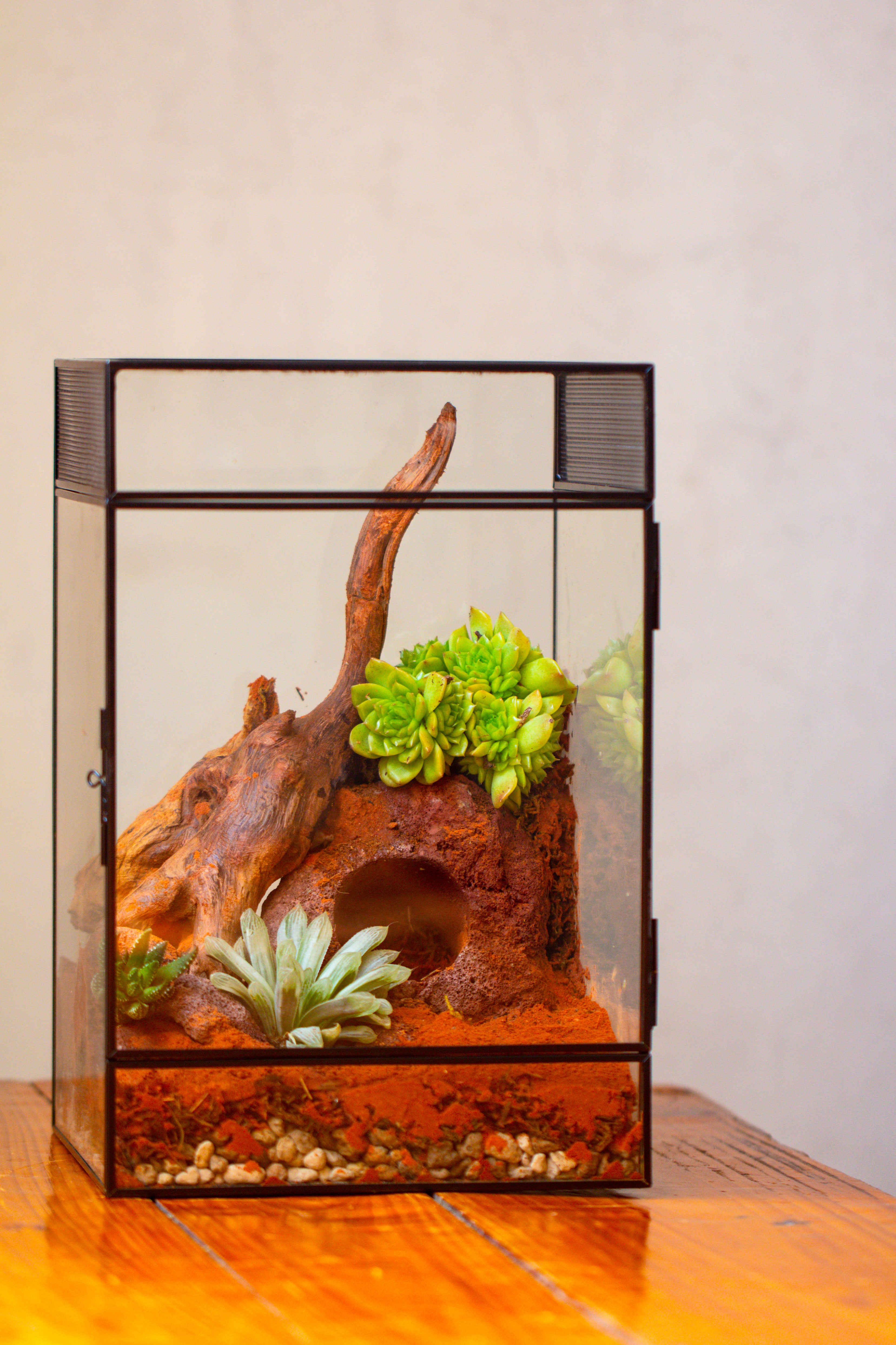 8x8x12 inches Large Handmade Glass Geometric Terrarium with Side Vent, for large insects - NCYPgarden