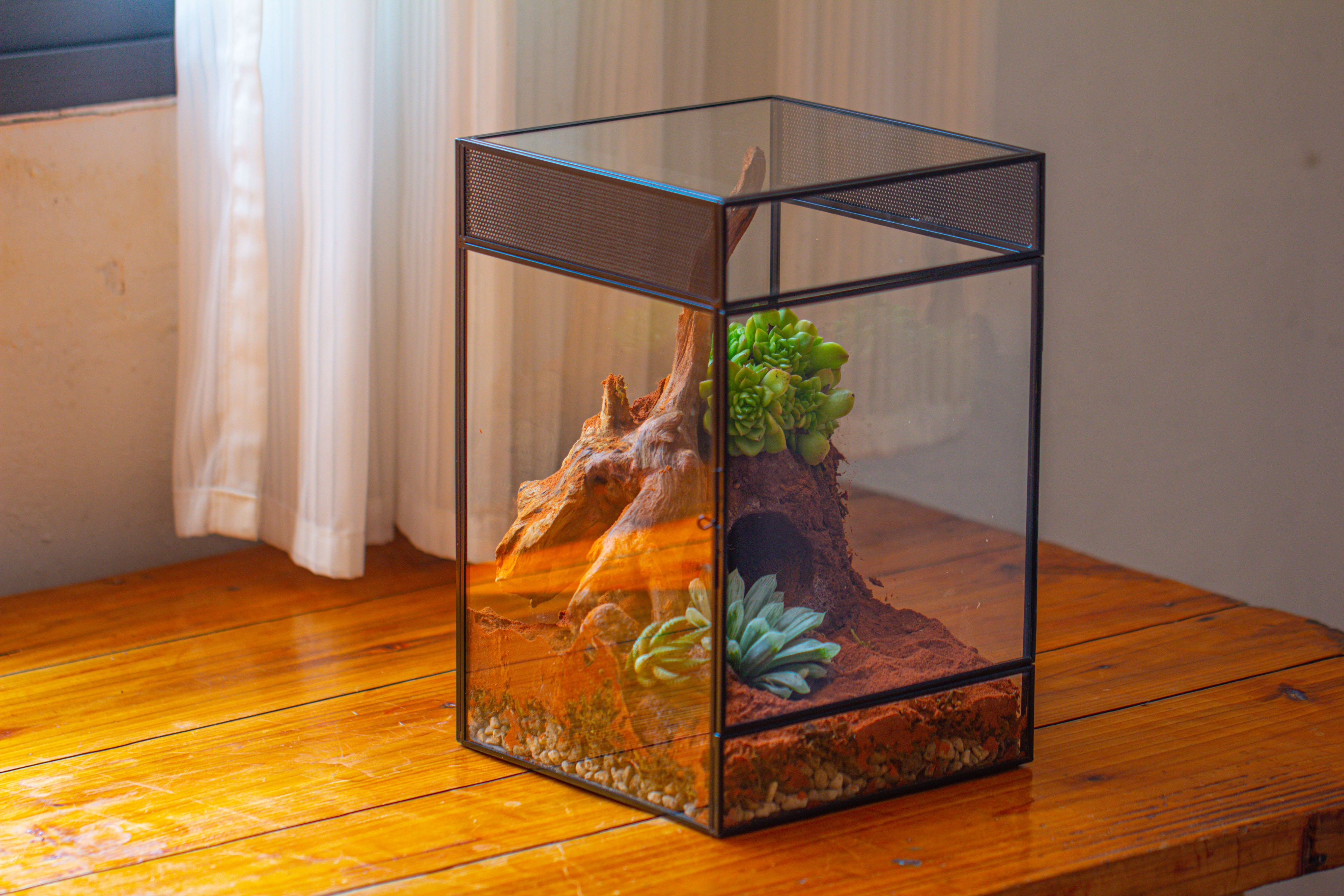 8x8x12 inches Large Handmade Glass Geometric Terrarium with Side Vent, for large insects - NCYPgarden