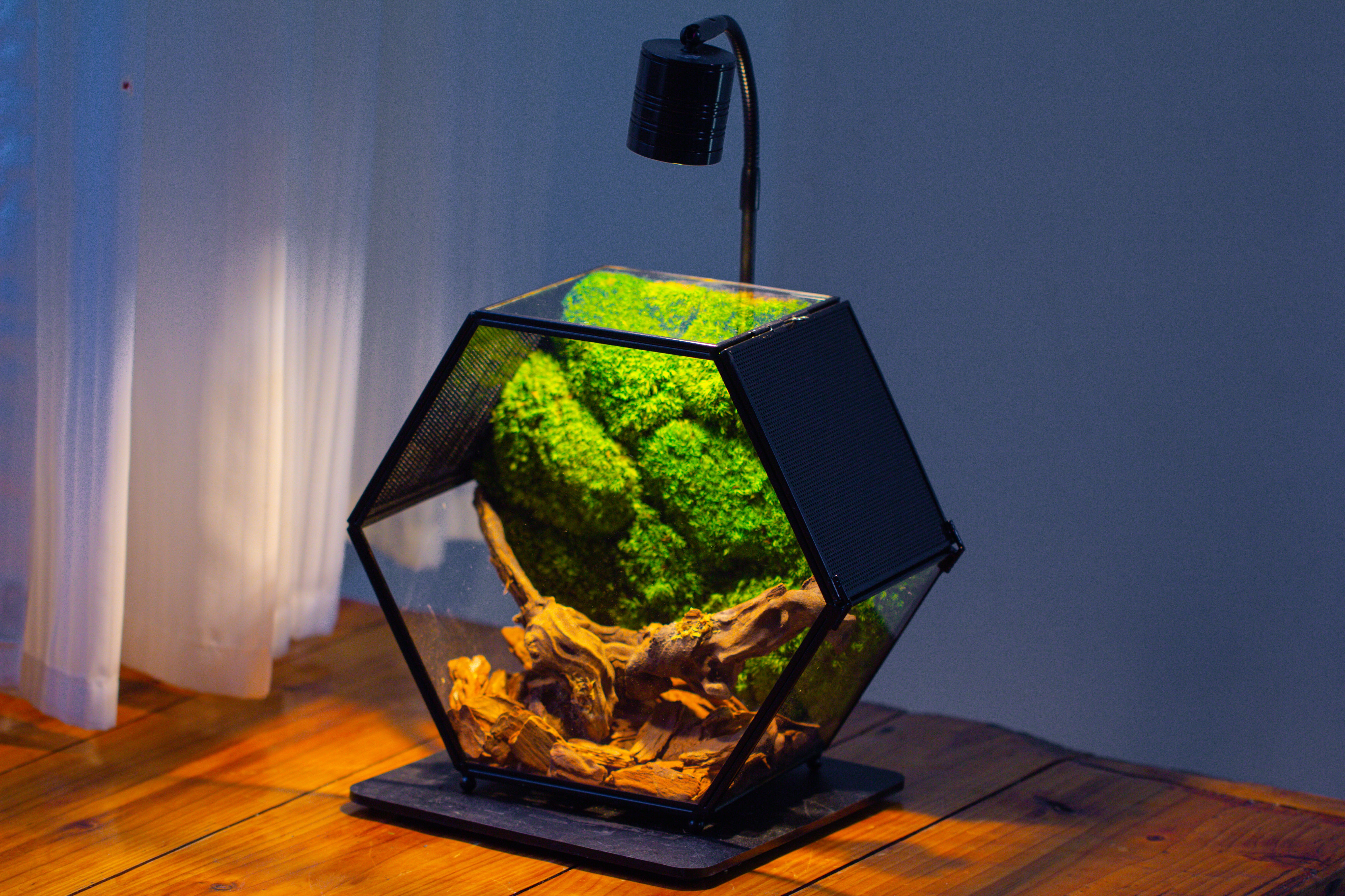 Handmade Hexagon Glass Geometric Terrarium Enclosure with Mesh Vents for Small Insects - NCYPgarden