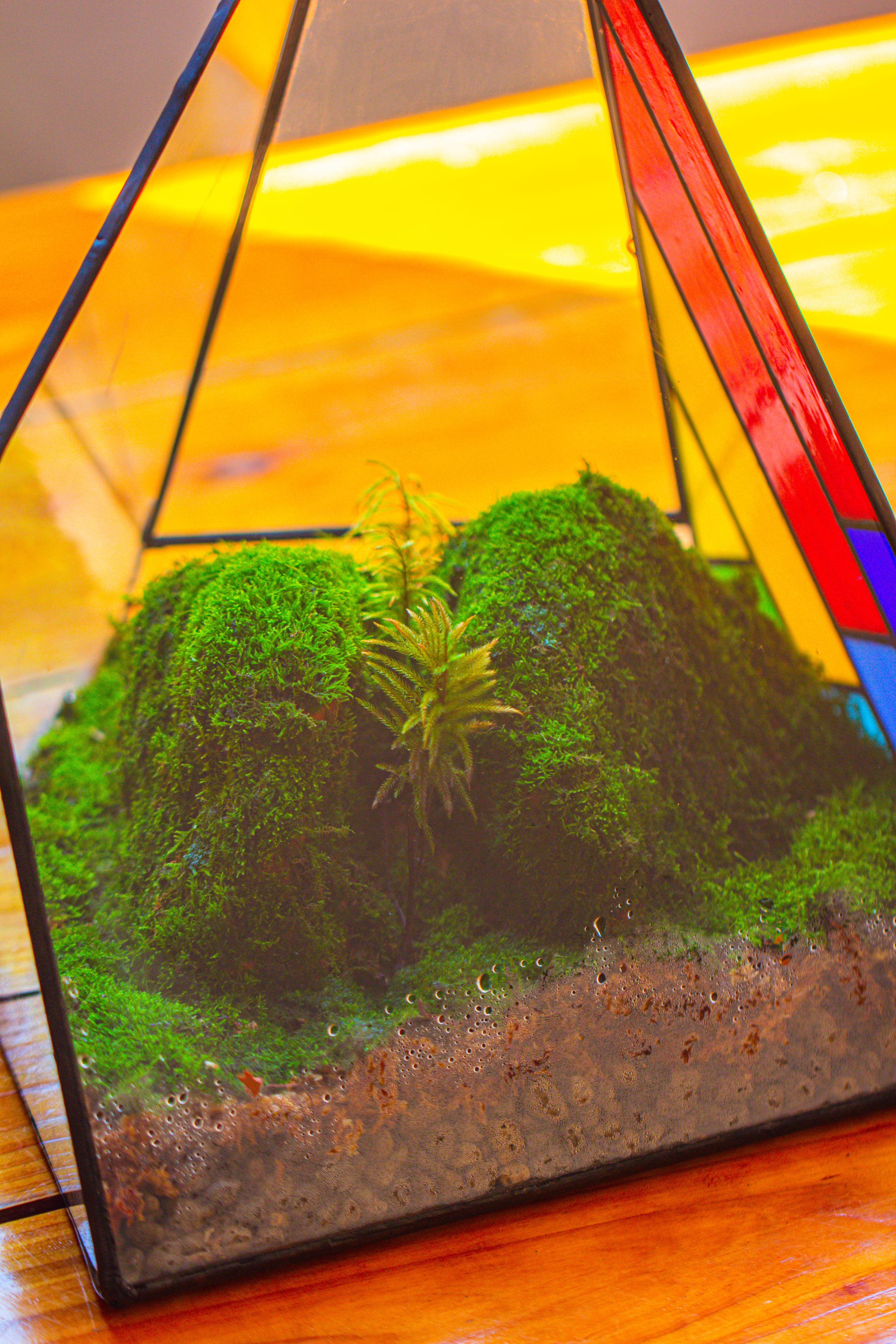 Rainbow Stained Glass Irregular Geometric Ice Peak  Shape Terrarium, Close - NCYPgarden