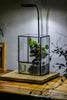 Close Geometric Glass Tin Terrarium , Watertight, 8x10" Container for Moss Wall, Fern, Landscape waterpond, No plants - NCYPgarden