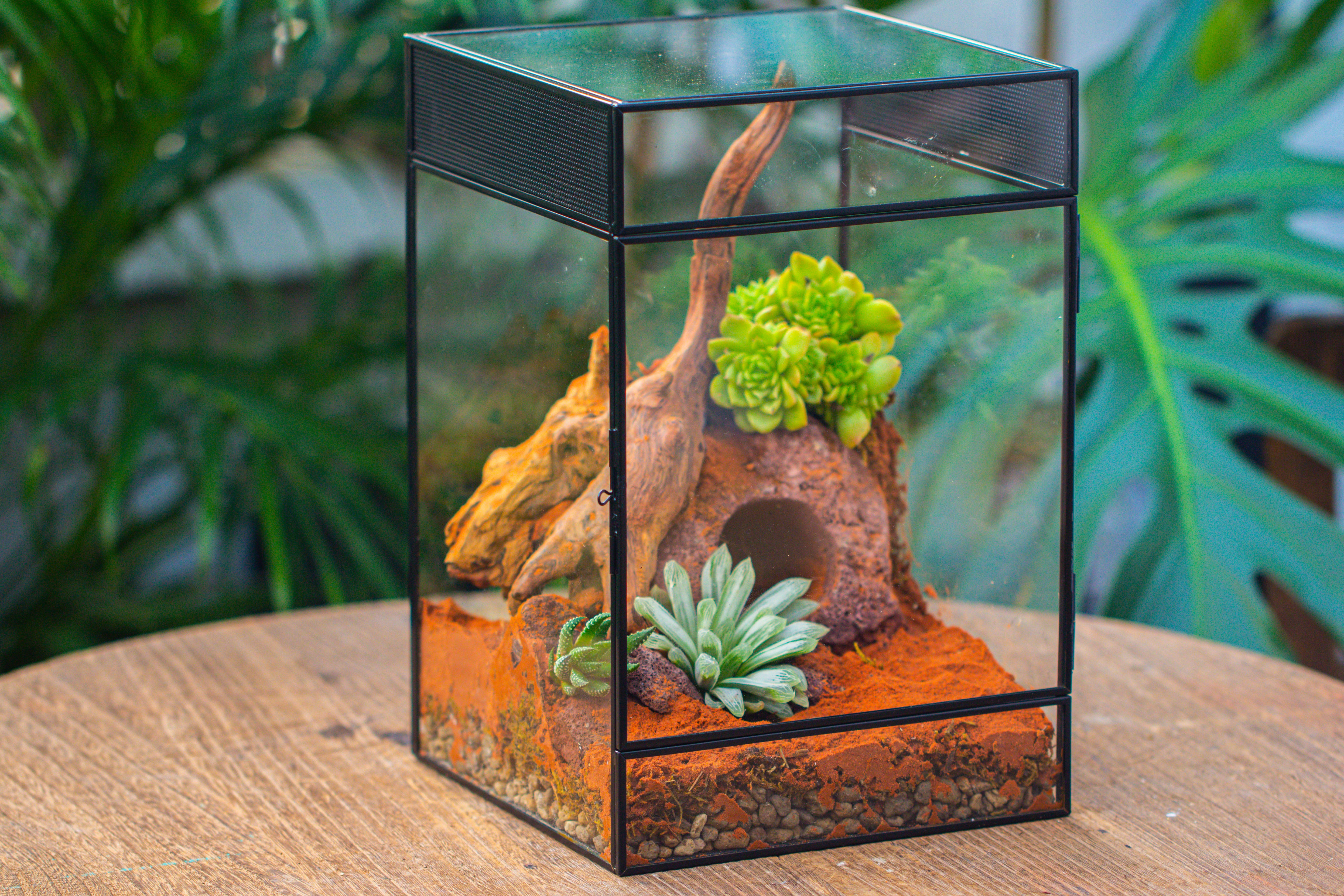 8x8x12 inches Large Handmade Glass Geometric Terrarium with Side Vent, for large insects - NCYPgarden