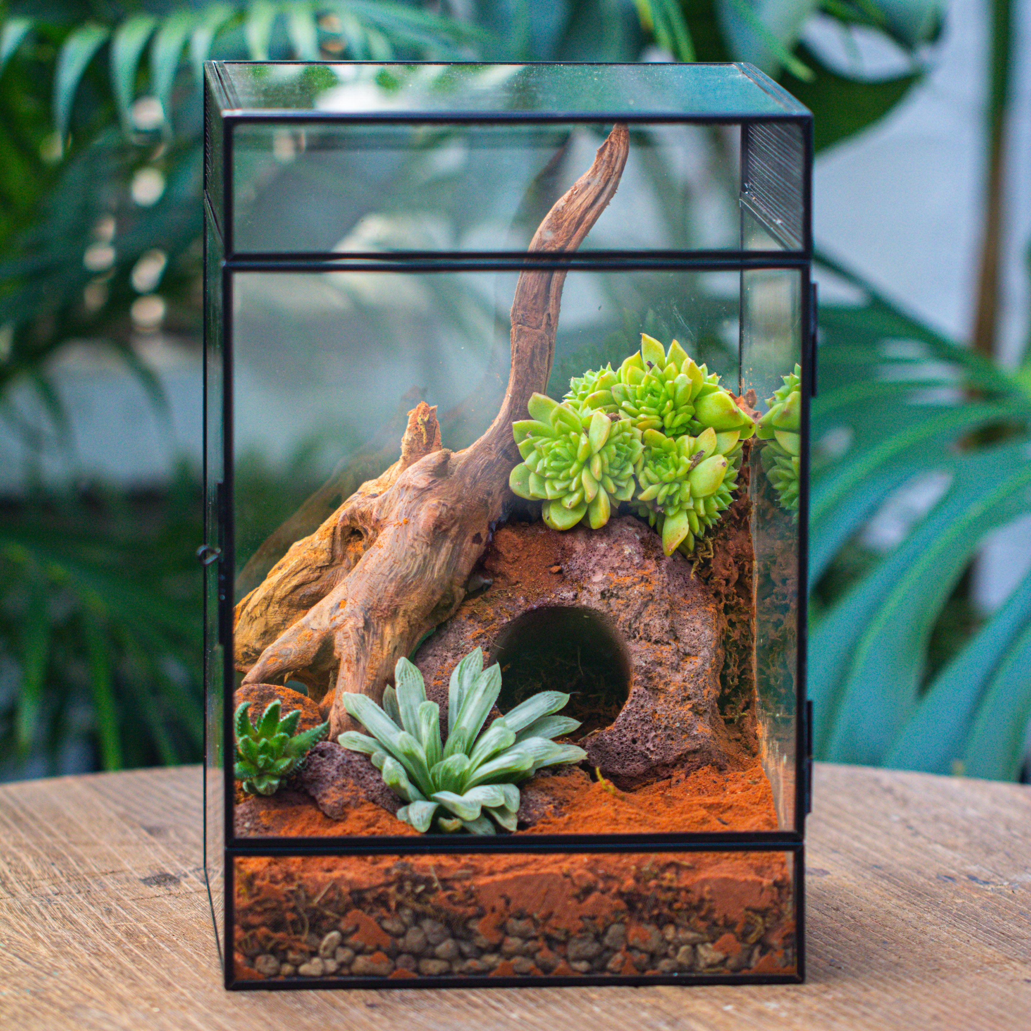 8x8x12 inches Large Handmade Glass Geometric Terrarium with Side Vent, for large insects - NCYPgarden