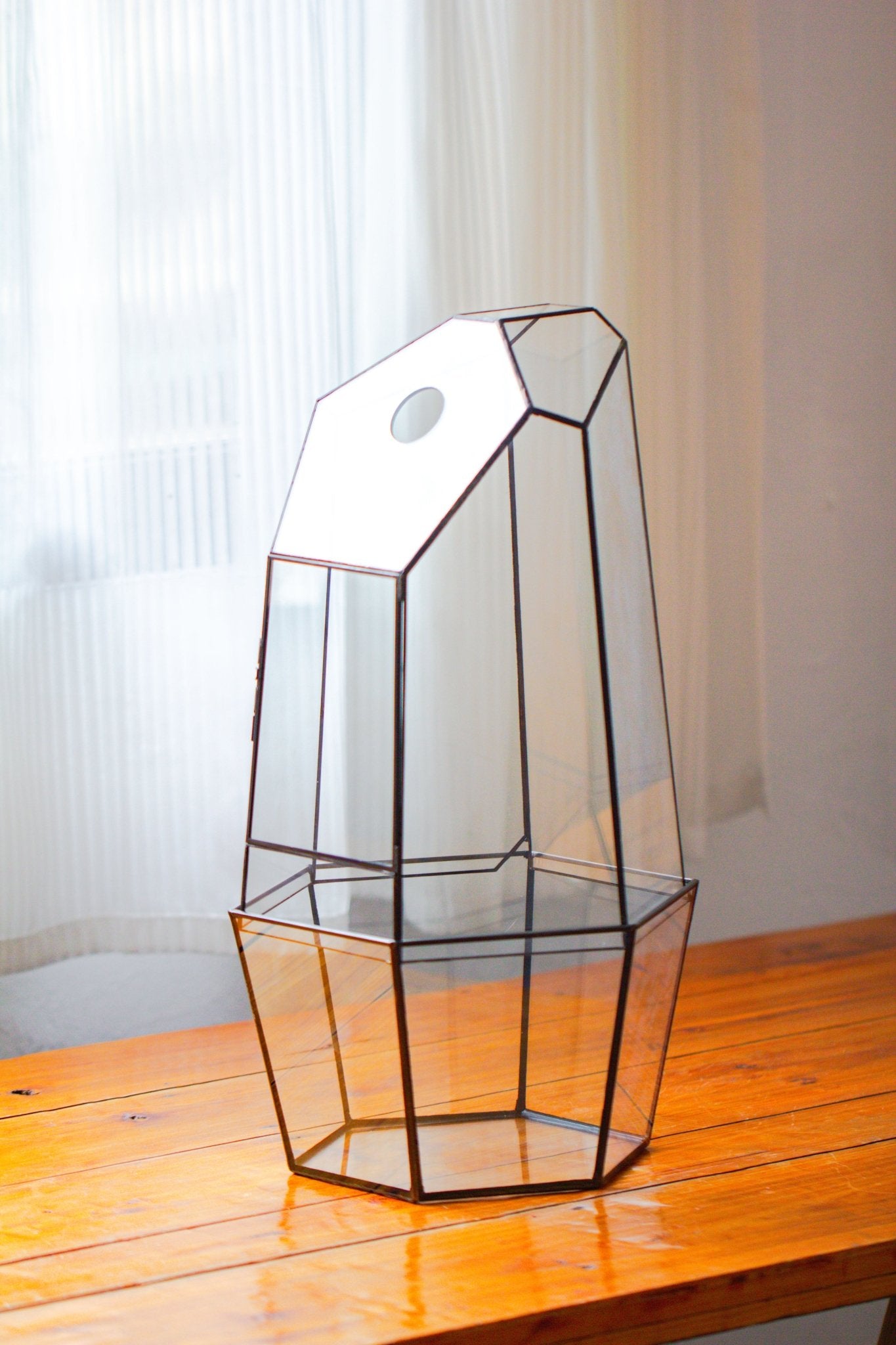 Large 2-Part 18.9" tall Close Glass Terrarium for orchid, fern, moss, Watertight, with top hole - NCYPgarden