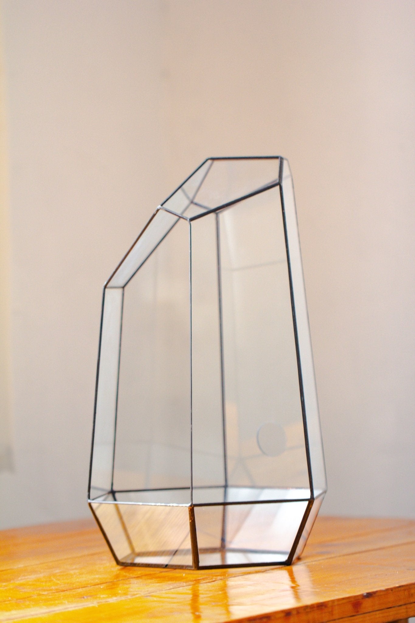 Handmade Extra Large Tall Irregular Glass Geometric Terrarium，Open, Waterproof, with Wire hole - NCYPgarden