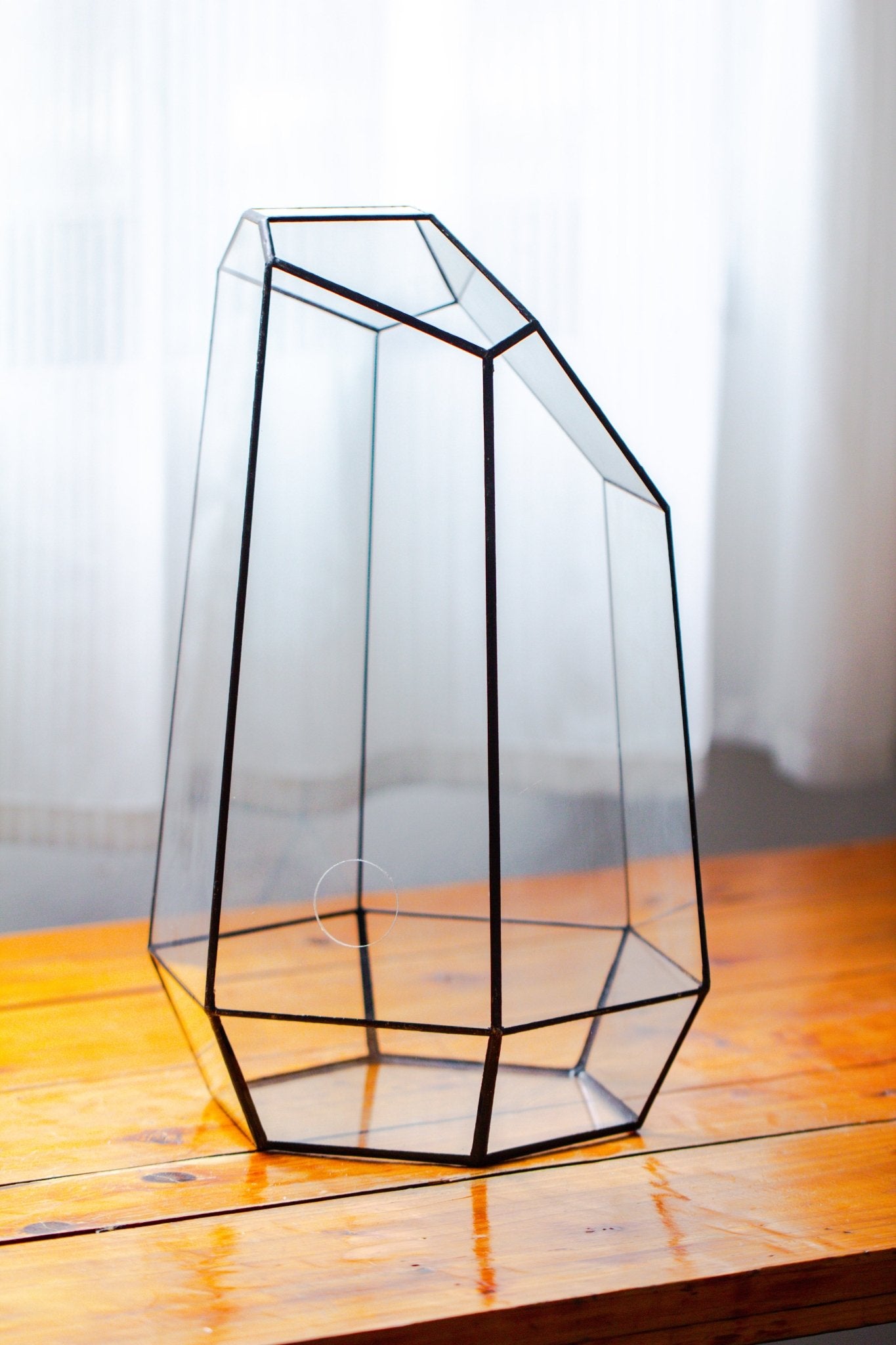 Handmade Extra Large Tall Irregular Glass Geometric Terrarium，Open, Waterproof, with Wire hole - NCYPgarden
