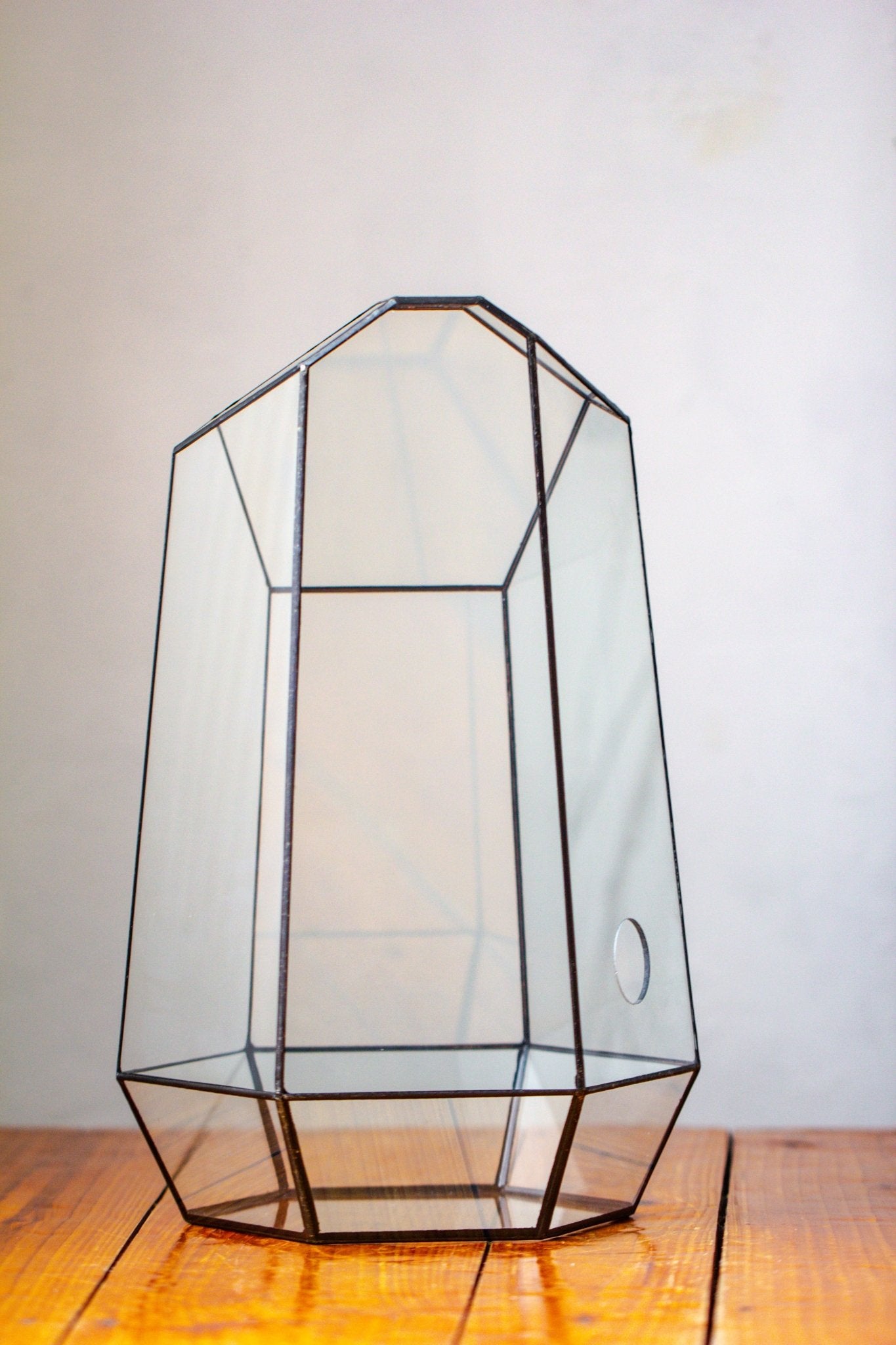 Handmade Extra Large Tall Irregular Glass Geometric Terrarium，Open, Waterproof, with Wire hole - NCYPgarden