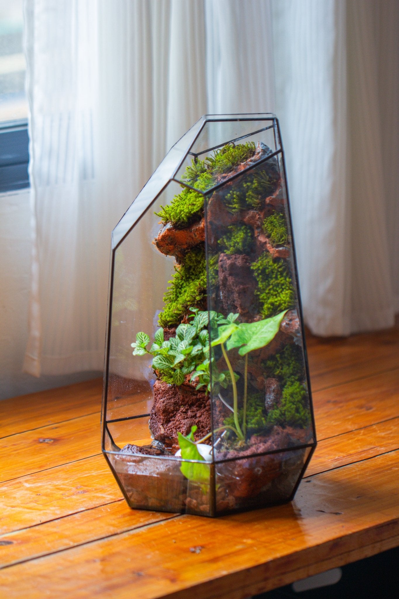 Handmade Extra Large Tall Irregular Glass Geometric Terrarium，Open, Waterproof, with Wire hole - NCYPgarden