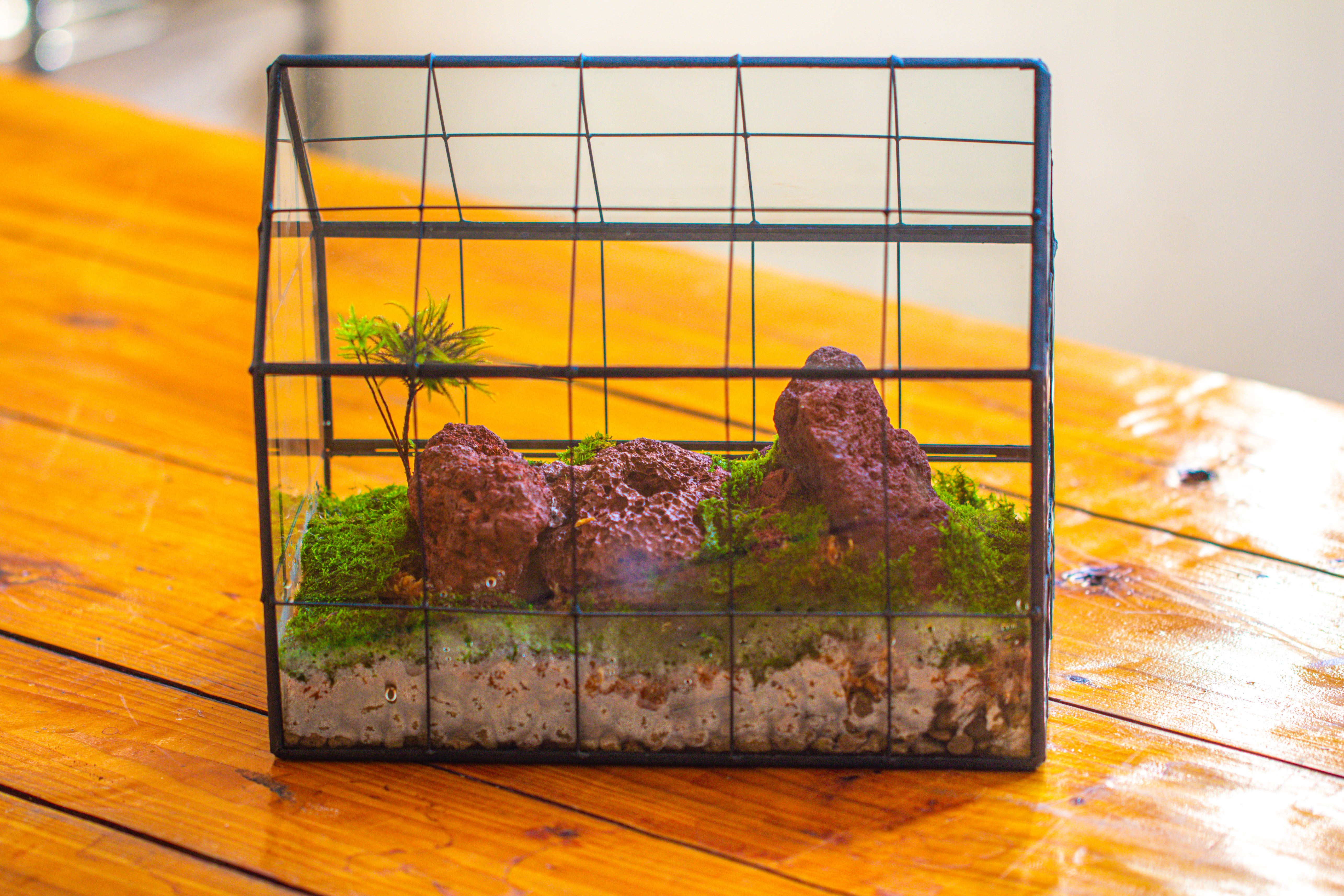 Grey White Horticultural Lava Rock Volcanic Rock - NCYPgarden