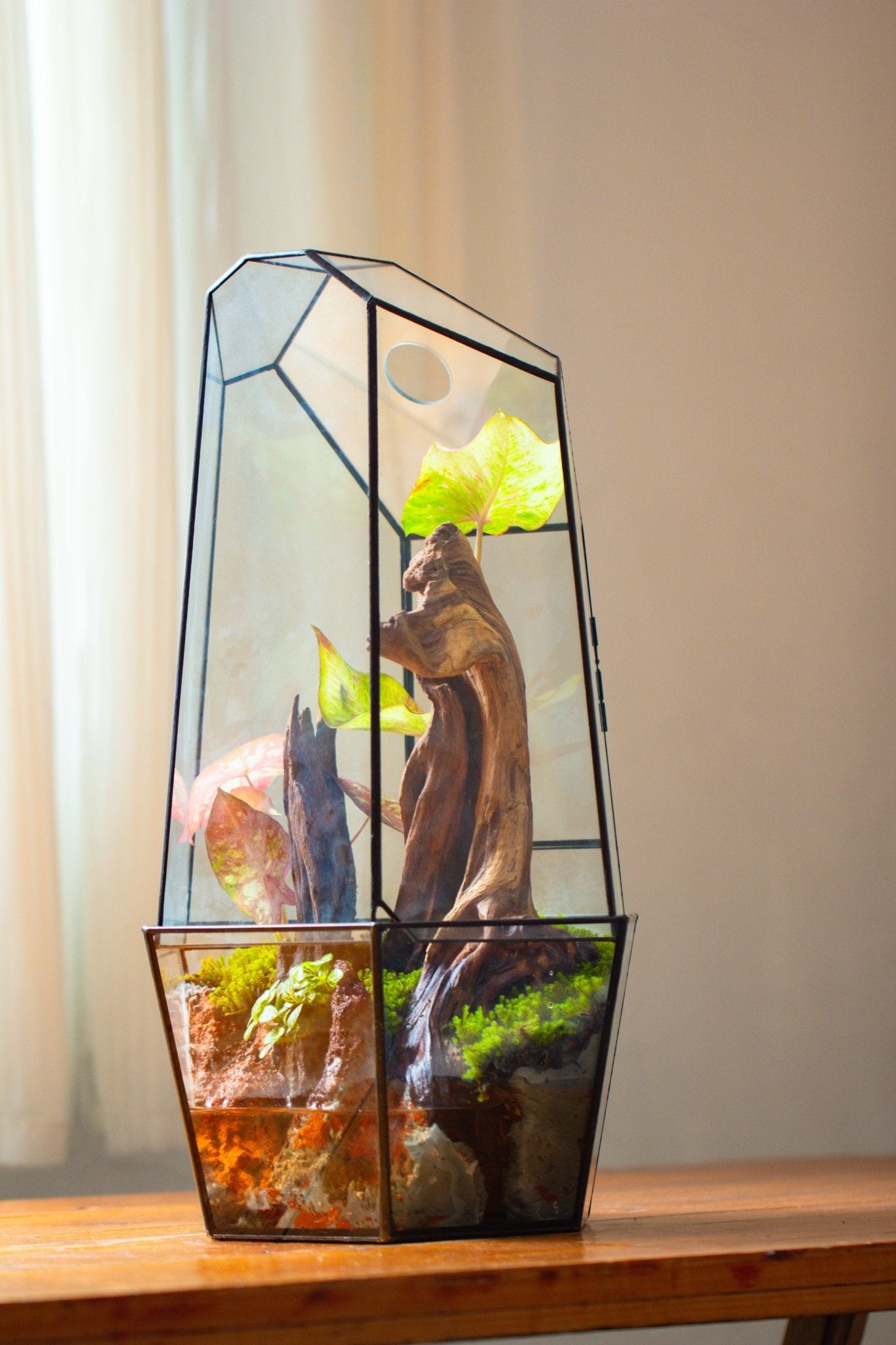 Large 2-Part 18.9" tall Close Glass Terrarium for orchid, fern, moss, Watertight, with top hole - NCYPgarden