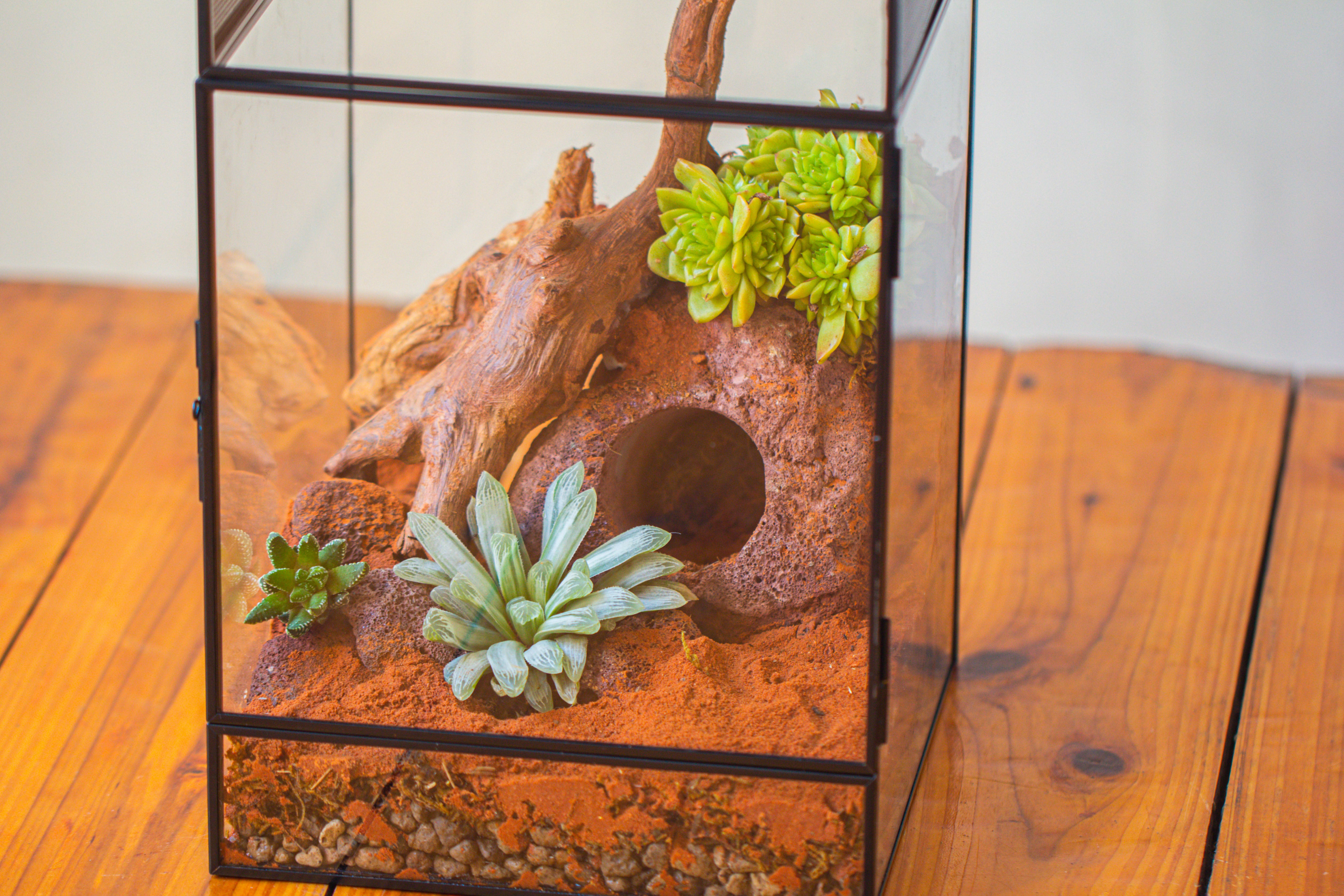 8x8x12 inches Large Handmade Glass Geometric Terrarium with Side Vent, for large insects - NCYPgarden