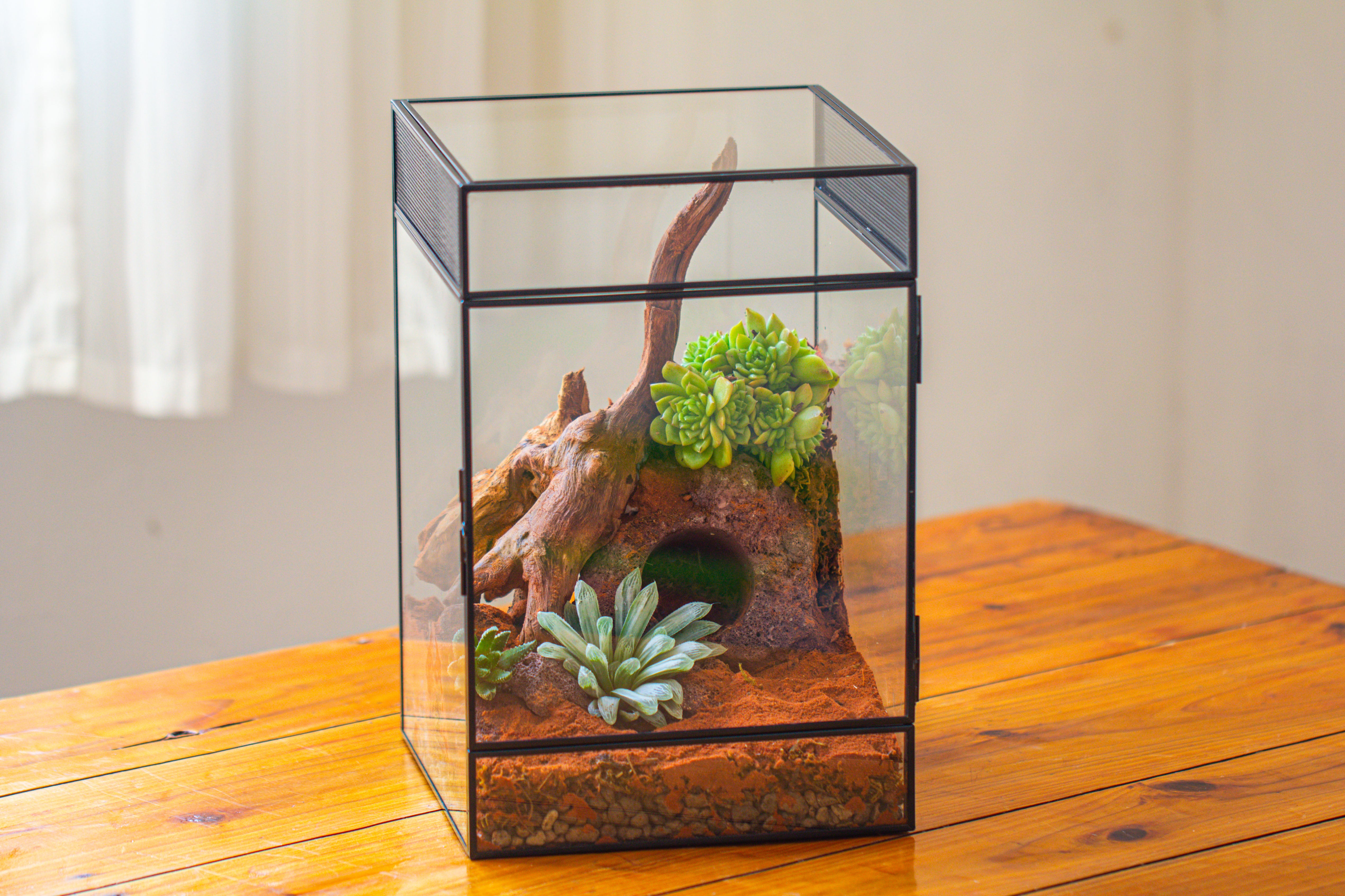 8x8x12 inches Large Handmade Glass Geometric Terrarium with Side Vent, for large insects - NCYPgarden