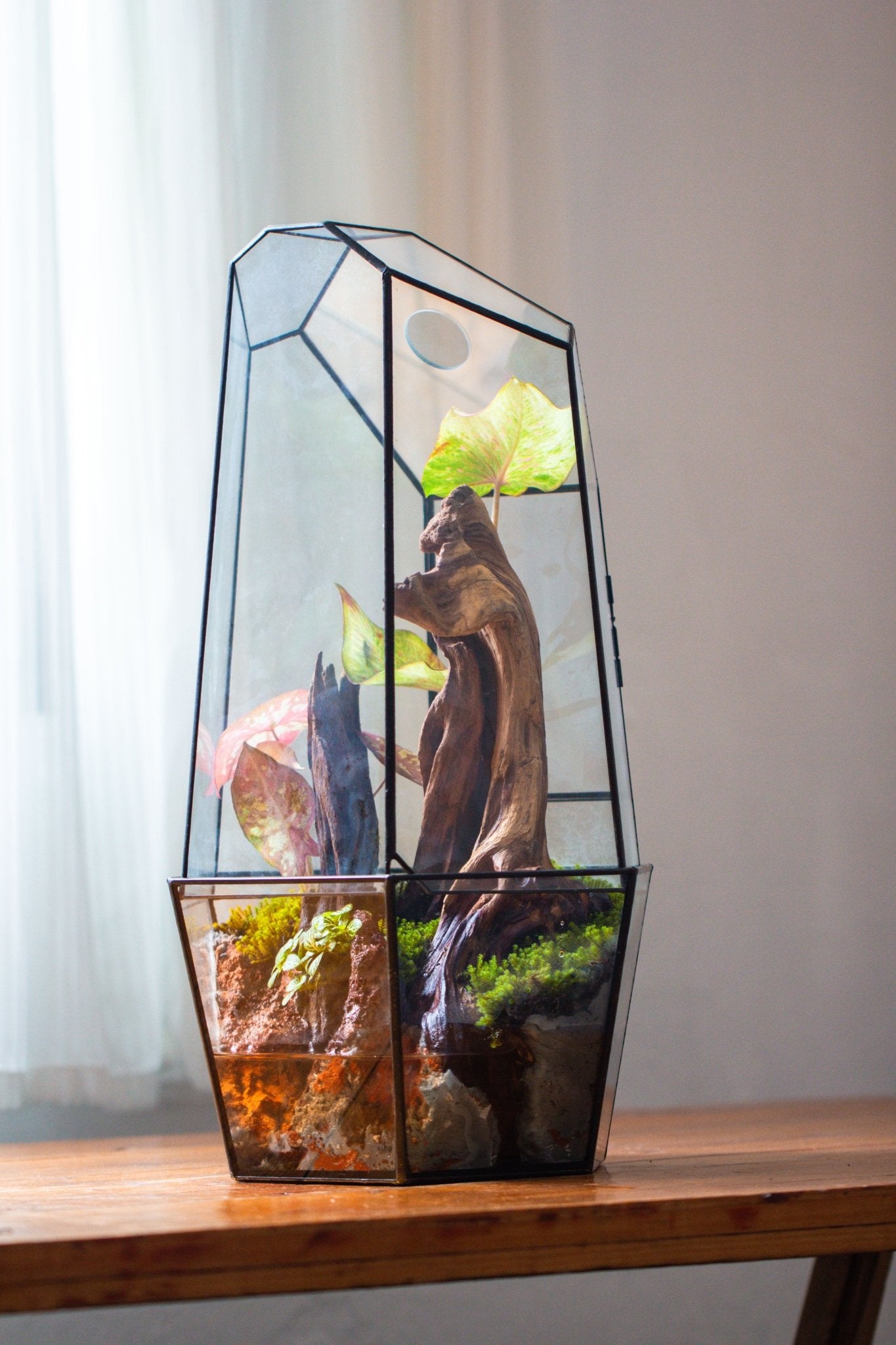 Large 2-Part 18.9" tall Close Glass Terrarium for orchid, fern, moss, Watertight, with top hole - NCYPgarden