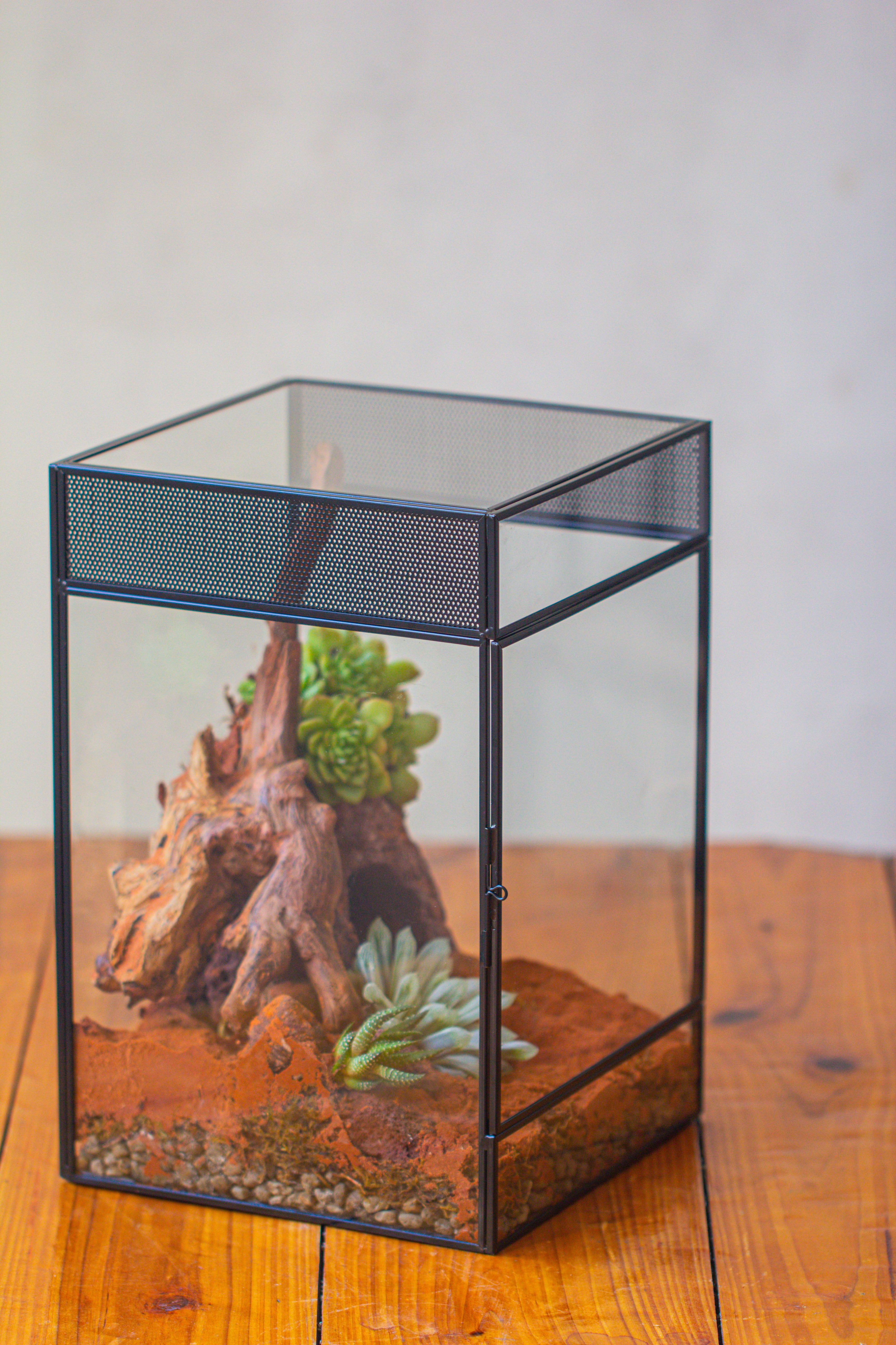 8x8x12 inches Large Handmade Glass Geometric Terrarium with Side Vent, for large insects - NCYPgarden