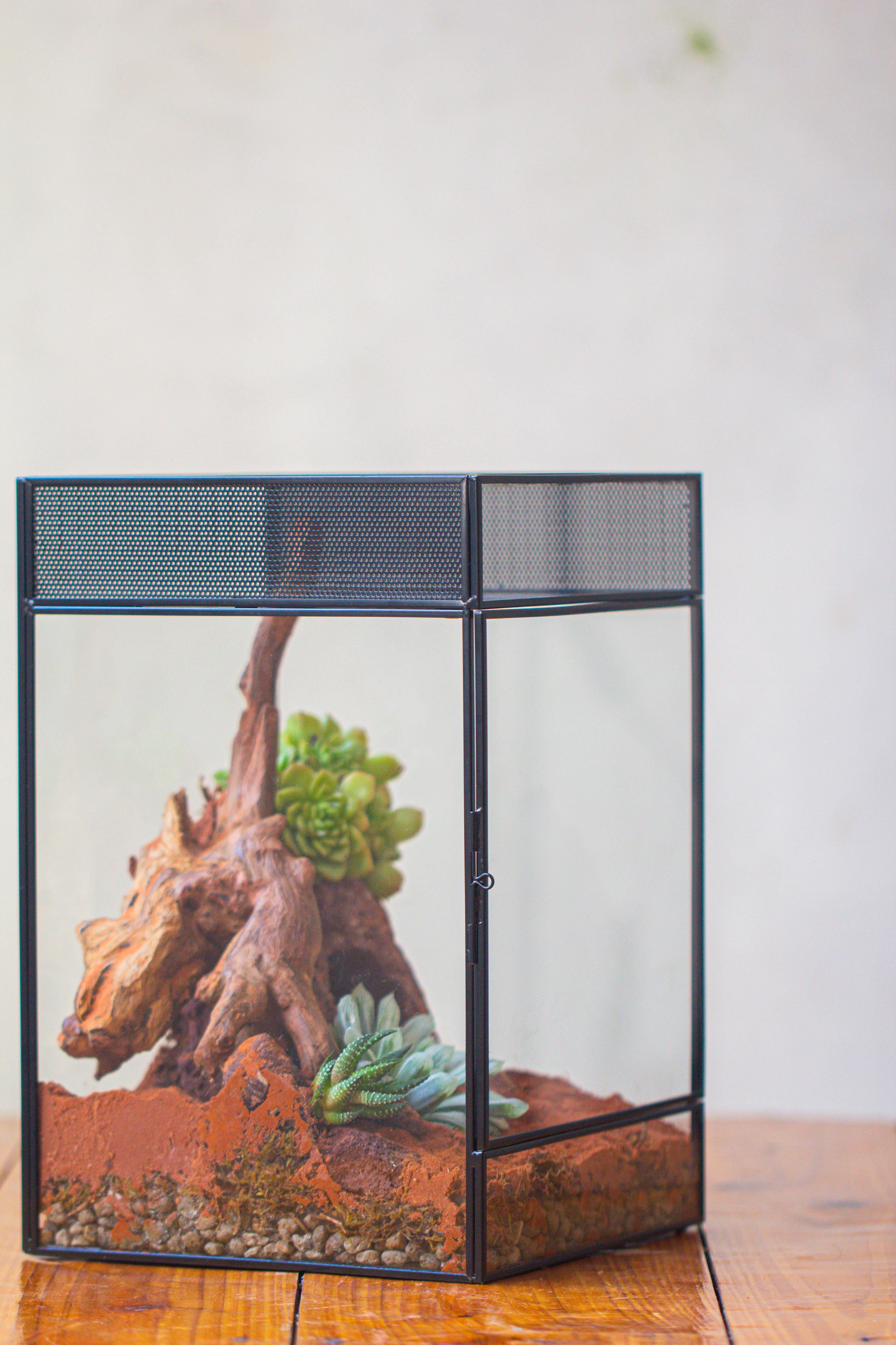 8x8x12 inches Large Handmade Glass Geometric Terrarium with Side Vent, for large insects - NCYPgarden
