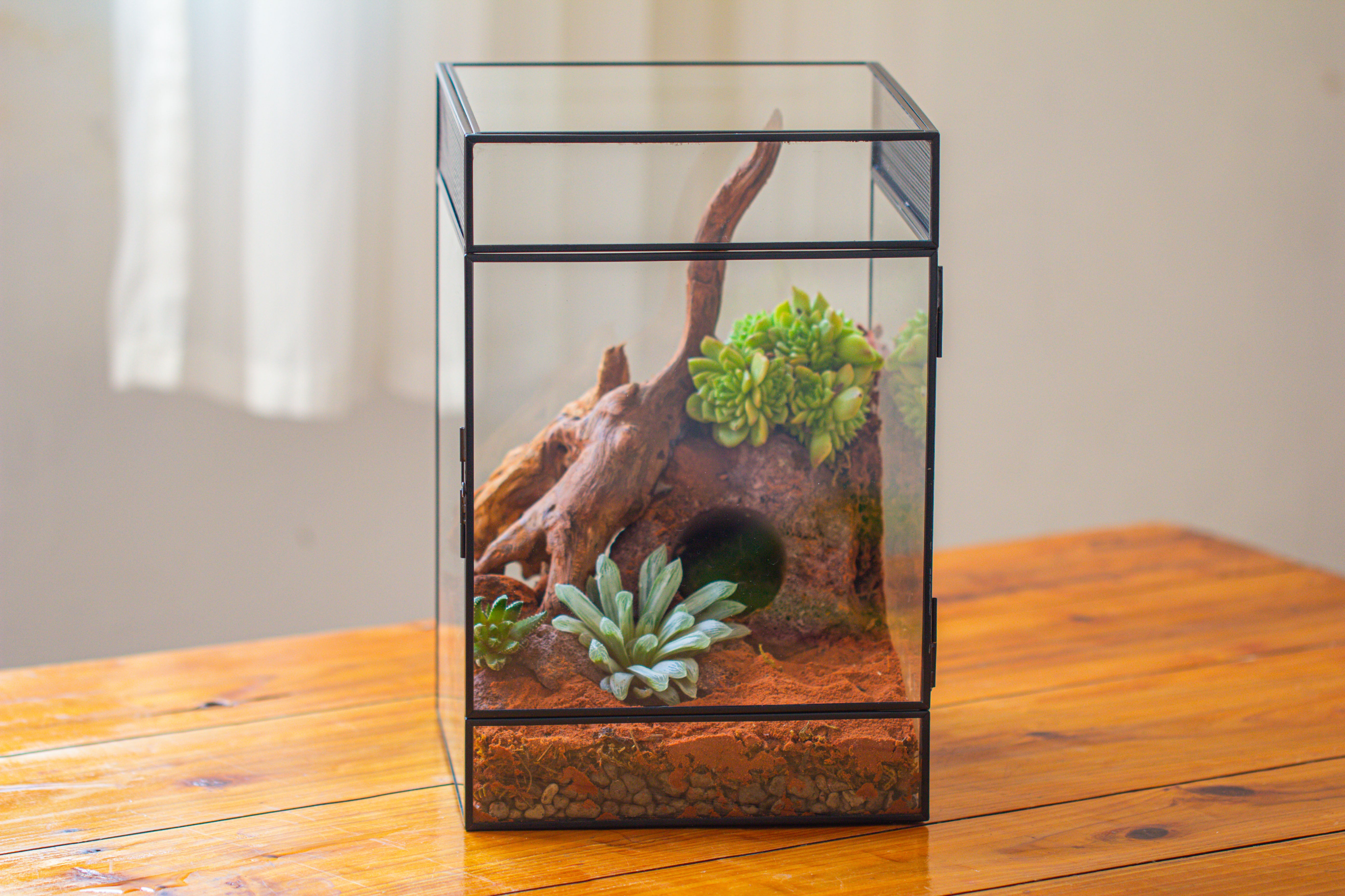 8x8x12 inches Large Handmade Glass Geometric Terrarium with Side Vent, for large insects - NCYPgarden