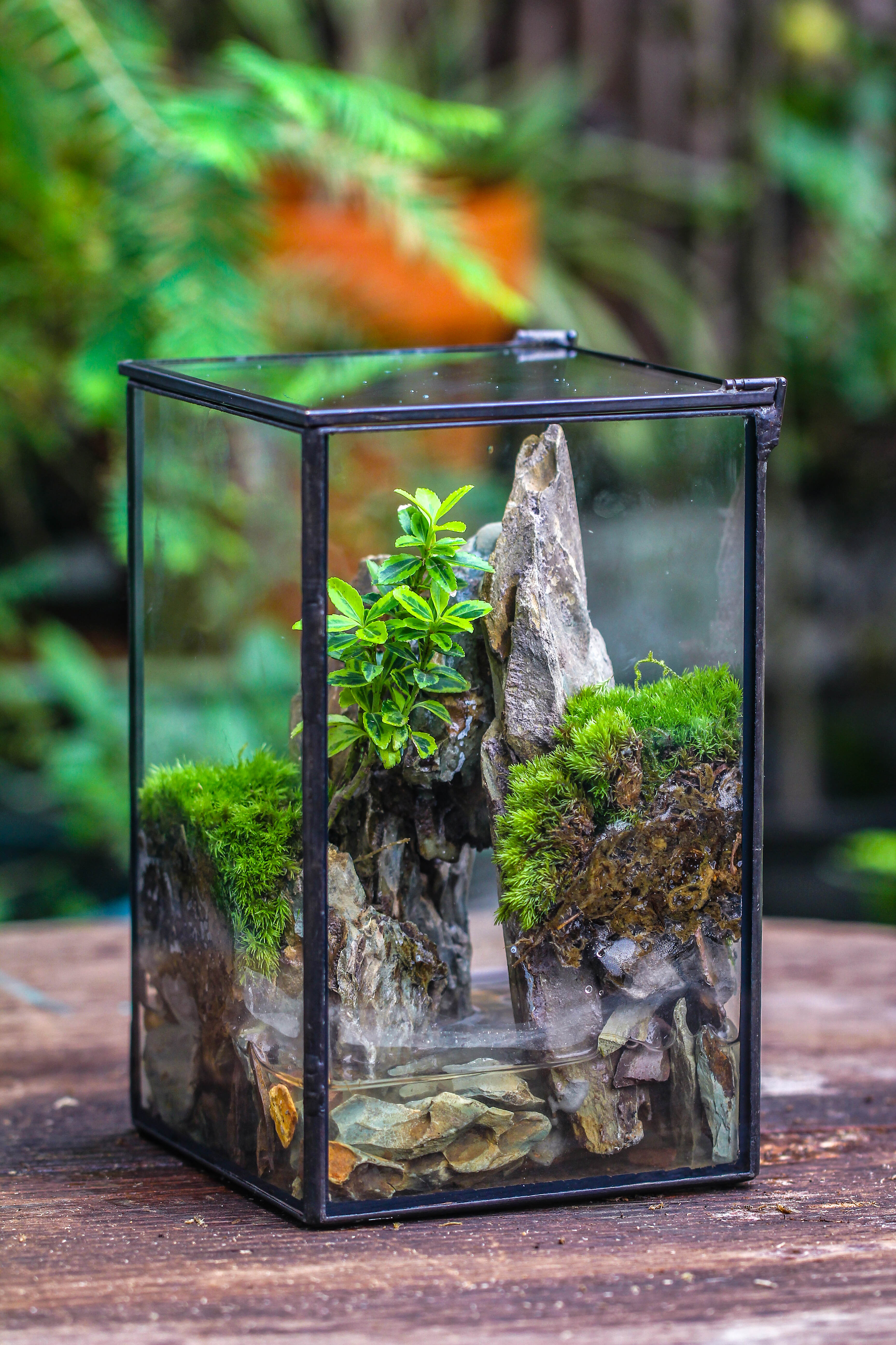 NCYP Watertight Close Geometric Glass Tin Terrarium, for small waterpond, moss landscape, Live Miniature, water pond, miniature - NCYPgarden