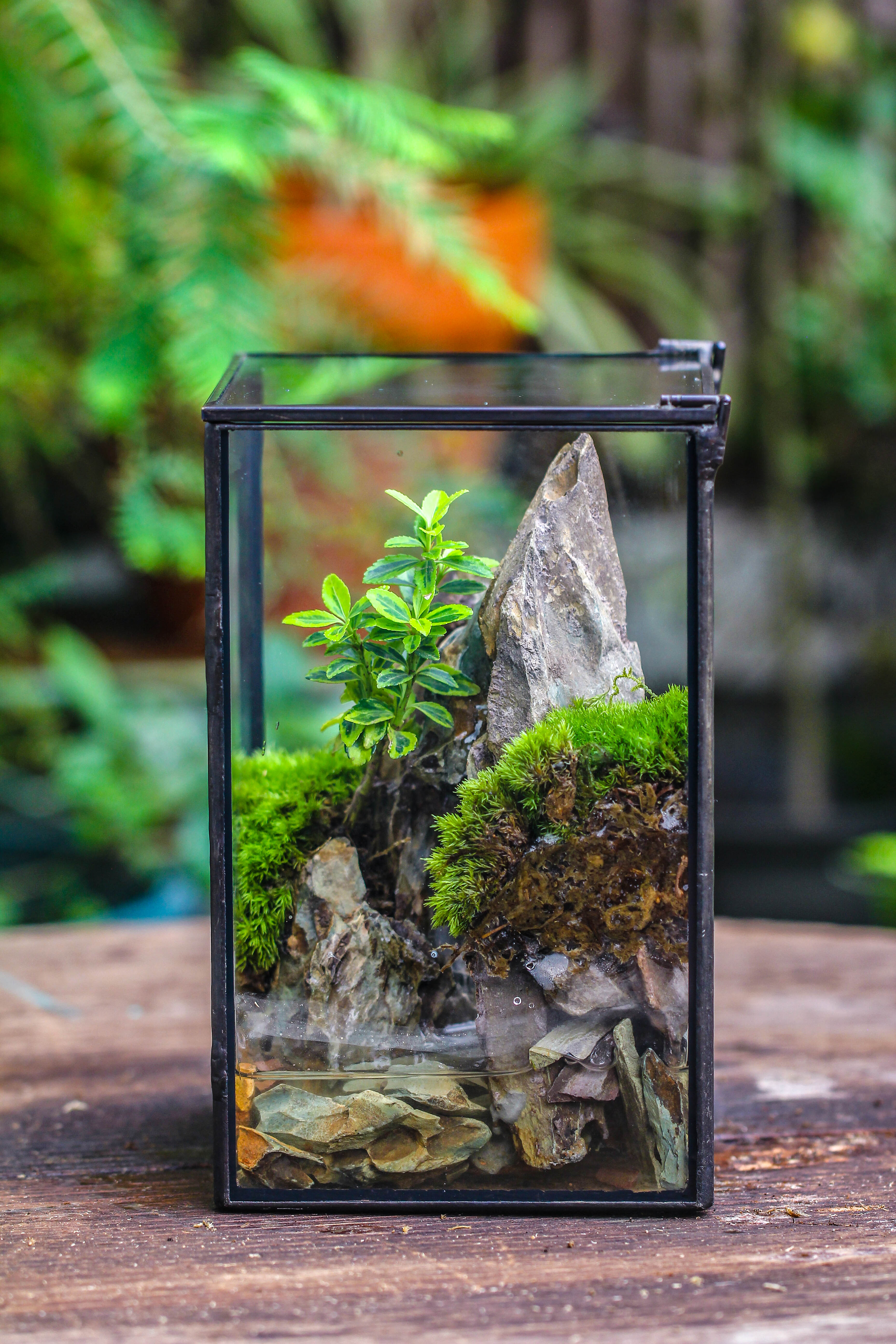 NCYP Watertight Close Geometric Glass Tin Terrarium, for small waterpond, moss landscape, Live Miniature, water pond, miniature - NCYPgarden