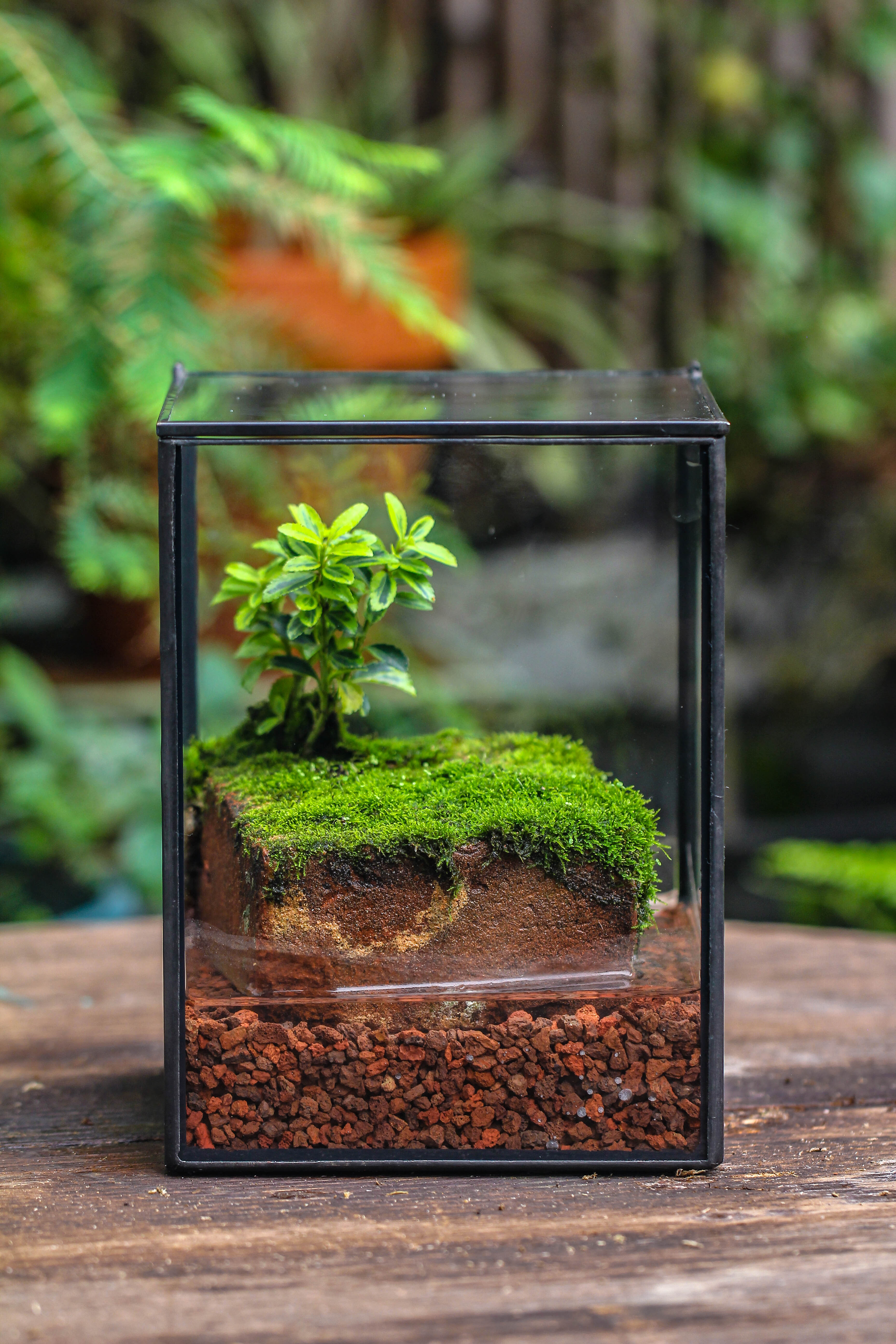 NCYP Watertight Close Geometric Glass Tin Terrarium, for small waterpond, moss landscape, Live Miniature, water pond, miniature - NCYPgarden