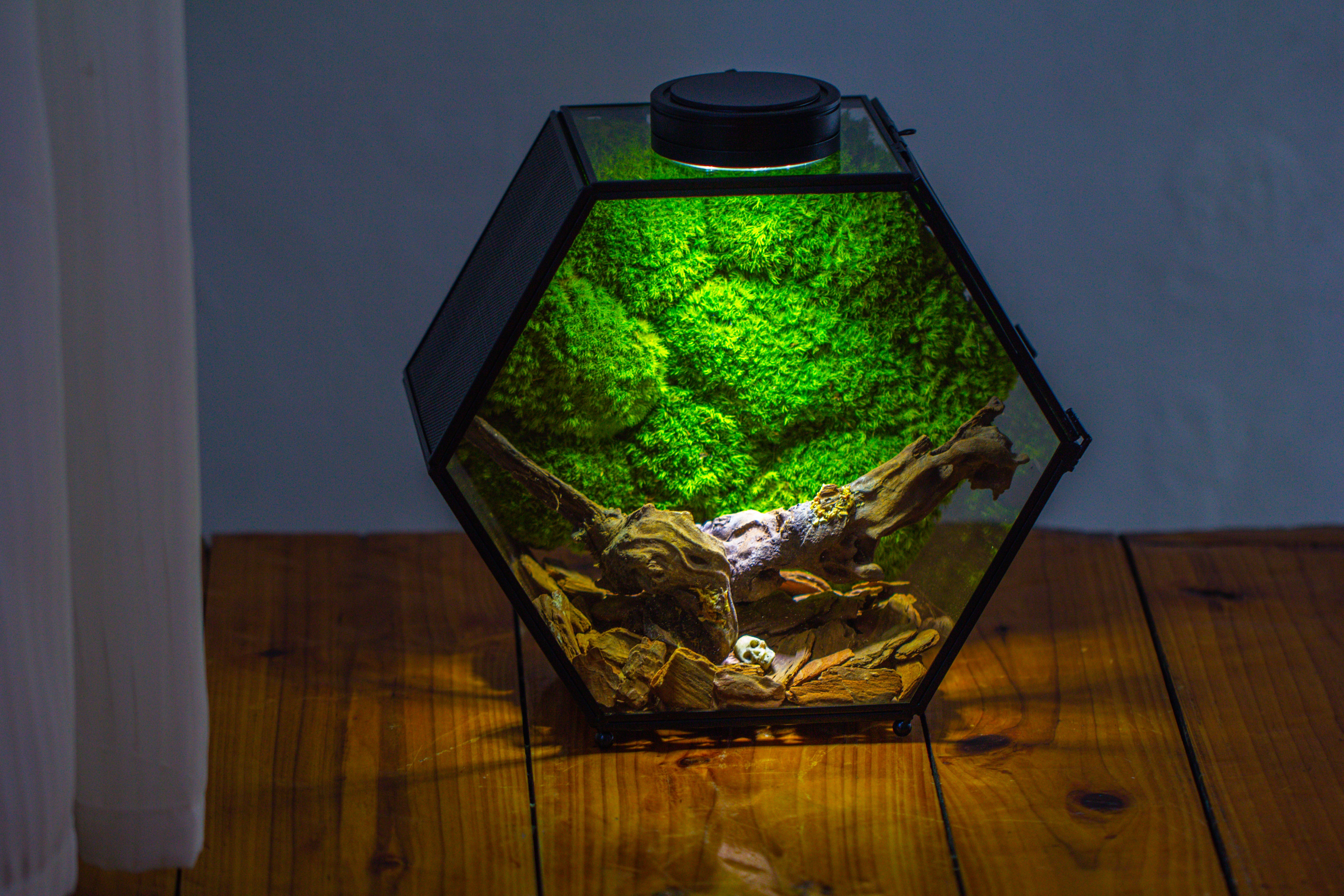 Handmade Hexagon Glass Geometric Terrarium Enclosure with Mesh Vents for Small Insects - NCYPgarden