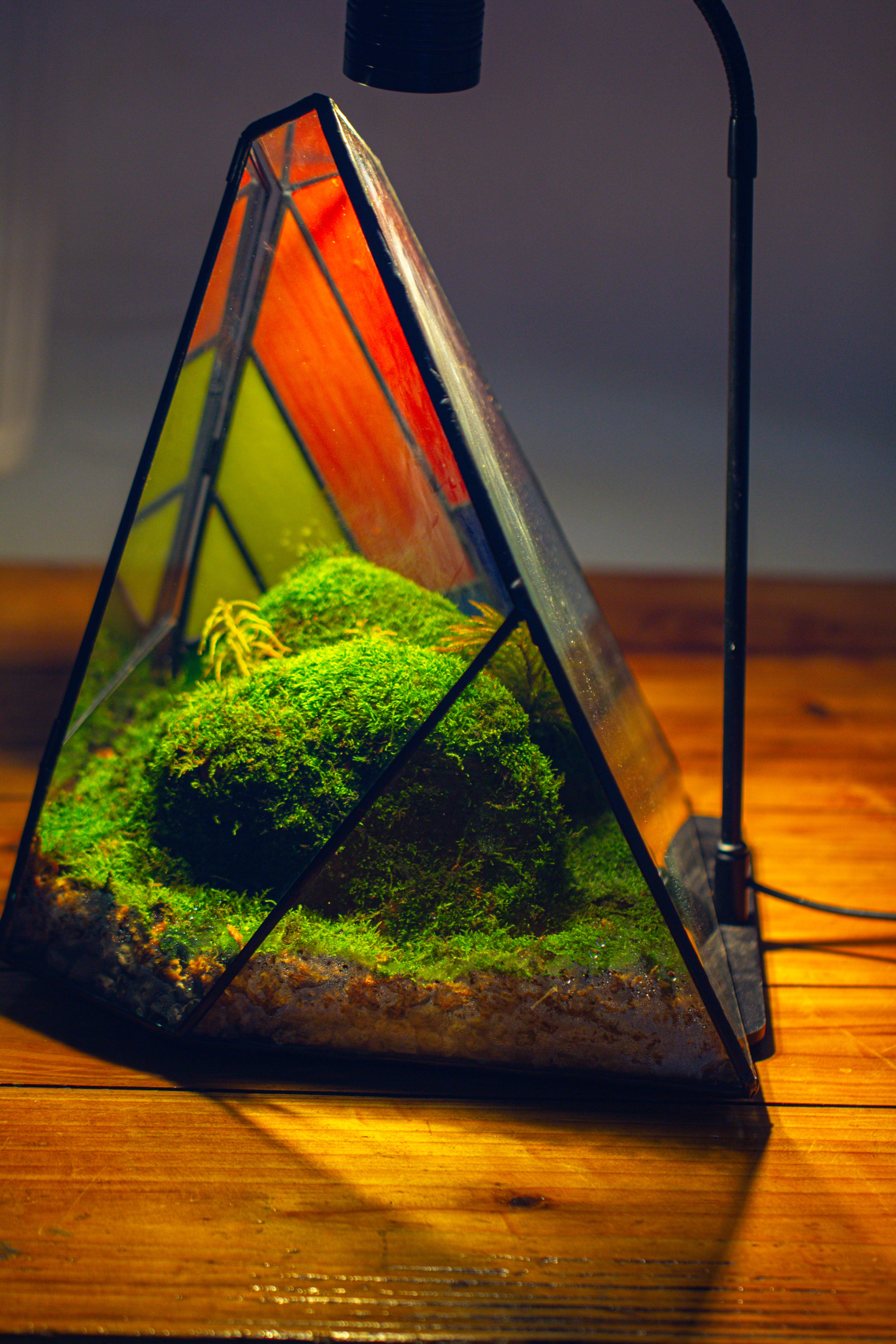 Rainbow Stained Glass Irregular Geometric Ice Peak  Shape Terrarium, Close - NCYPgarden