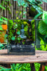 Close Geometric Glass Tin Terrarium , Watertight, 8x10" Container for Moss Wall, Fern, Landscape waterpond, No plants, Customizable - NCYPgarden