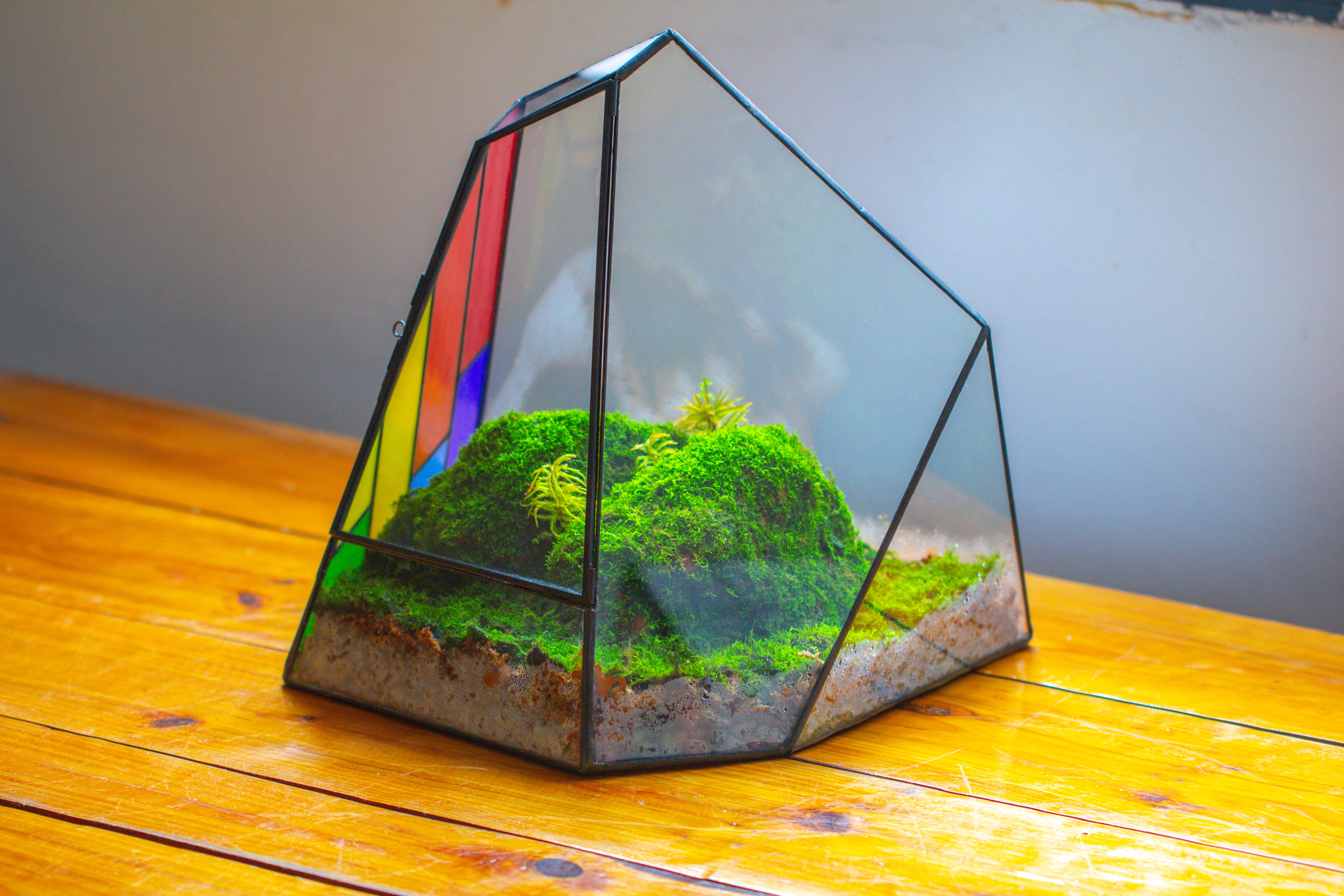 Rainbow Stained Glass Irregular Geometric Ice Peak  Shape Terrarium, Close - NCYPgarden