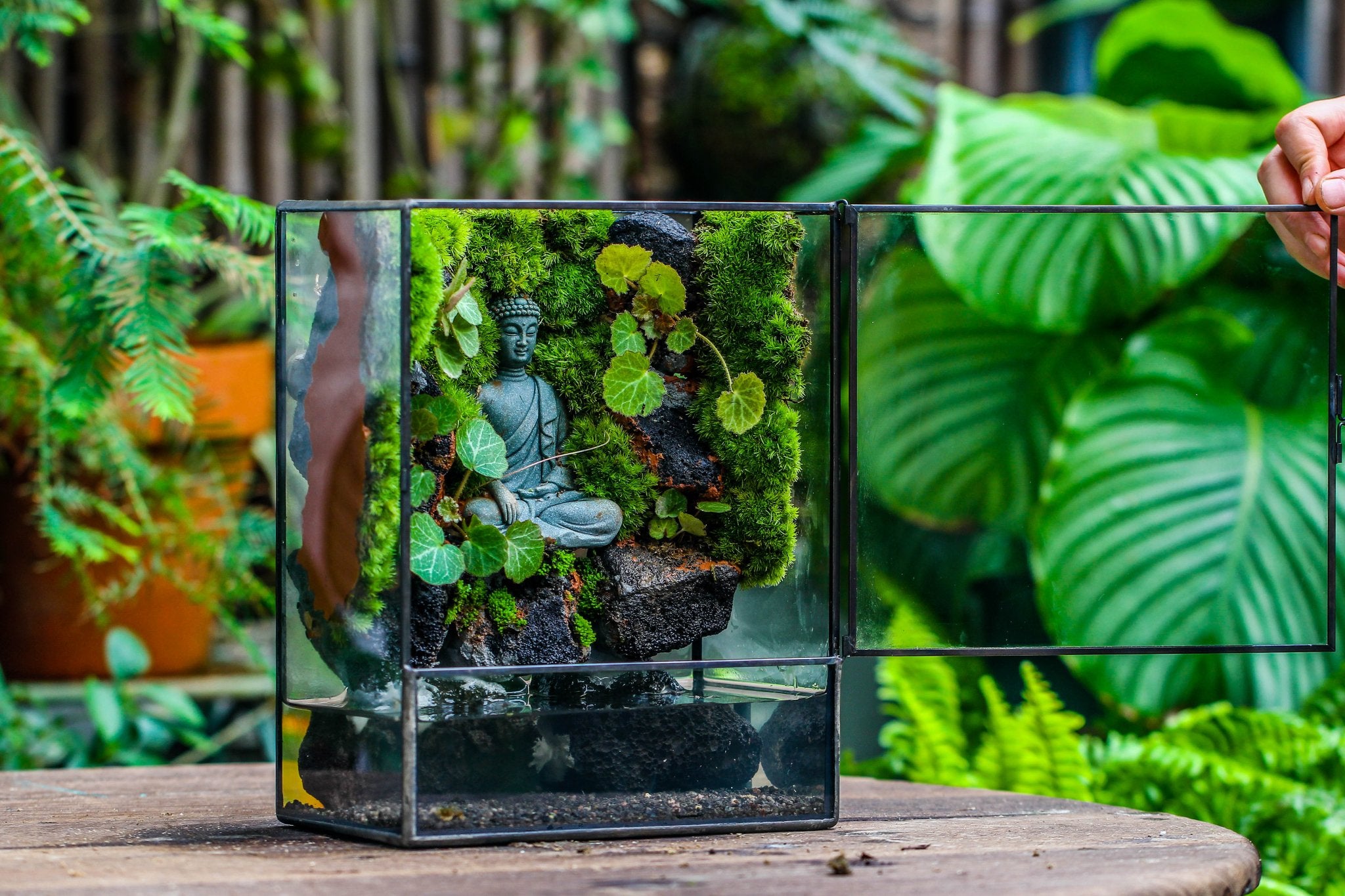 Black Horticultural Lava Rock for Terrarium — NCYPgarden
