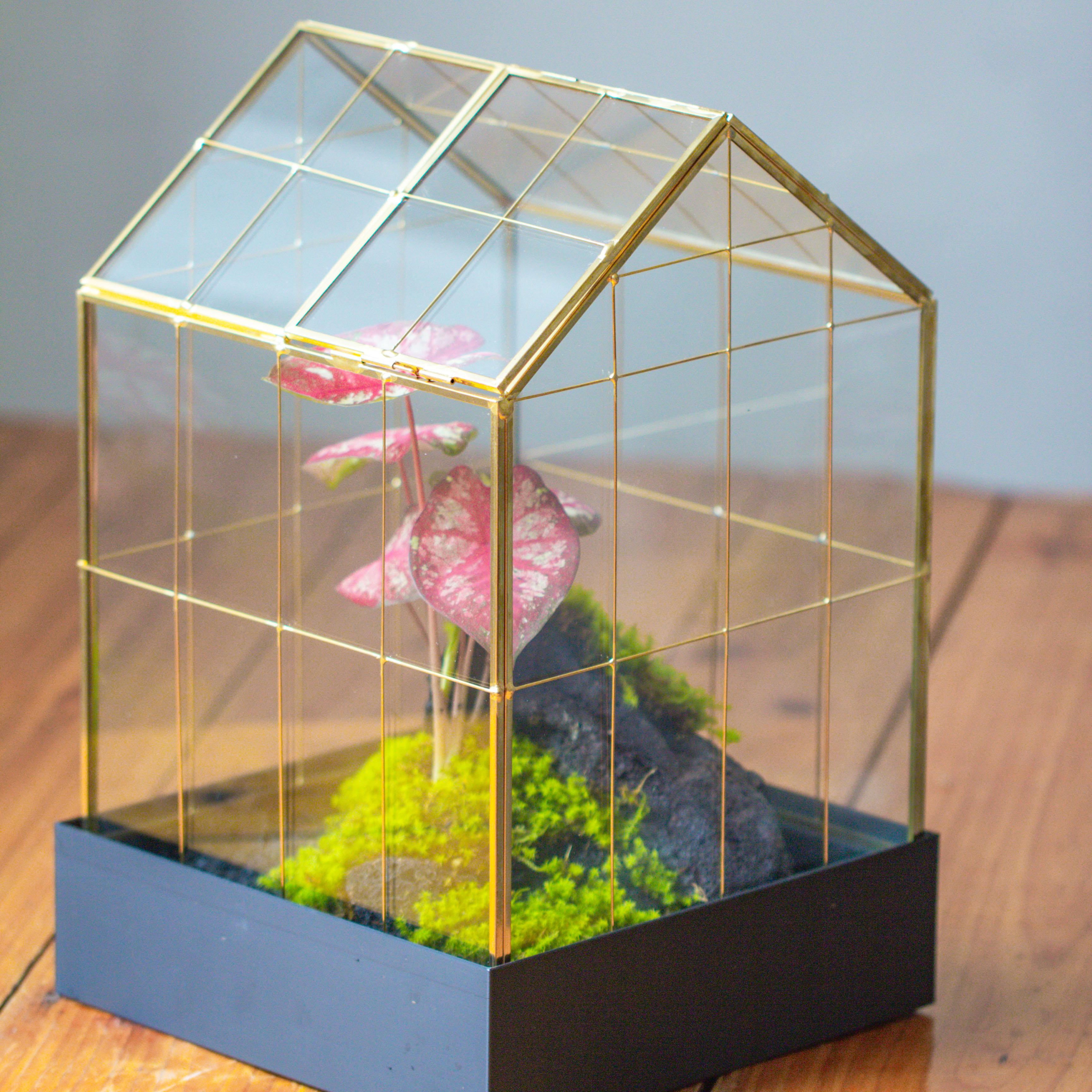 Gold 11” Vintage Greenhouse Glass Terrarium with Water-Holding Tray and Top Door