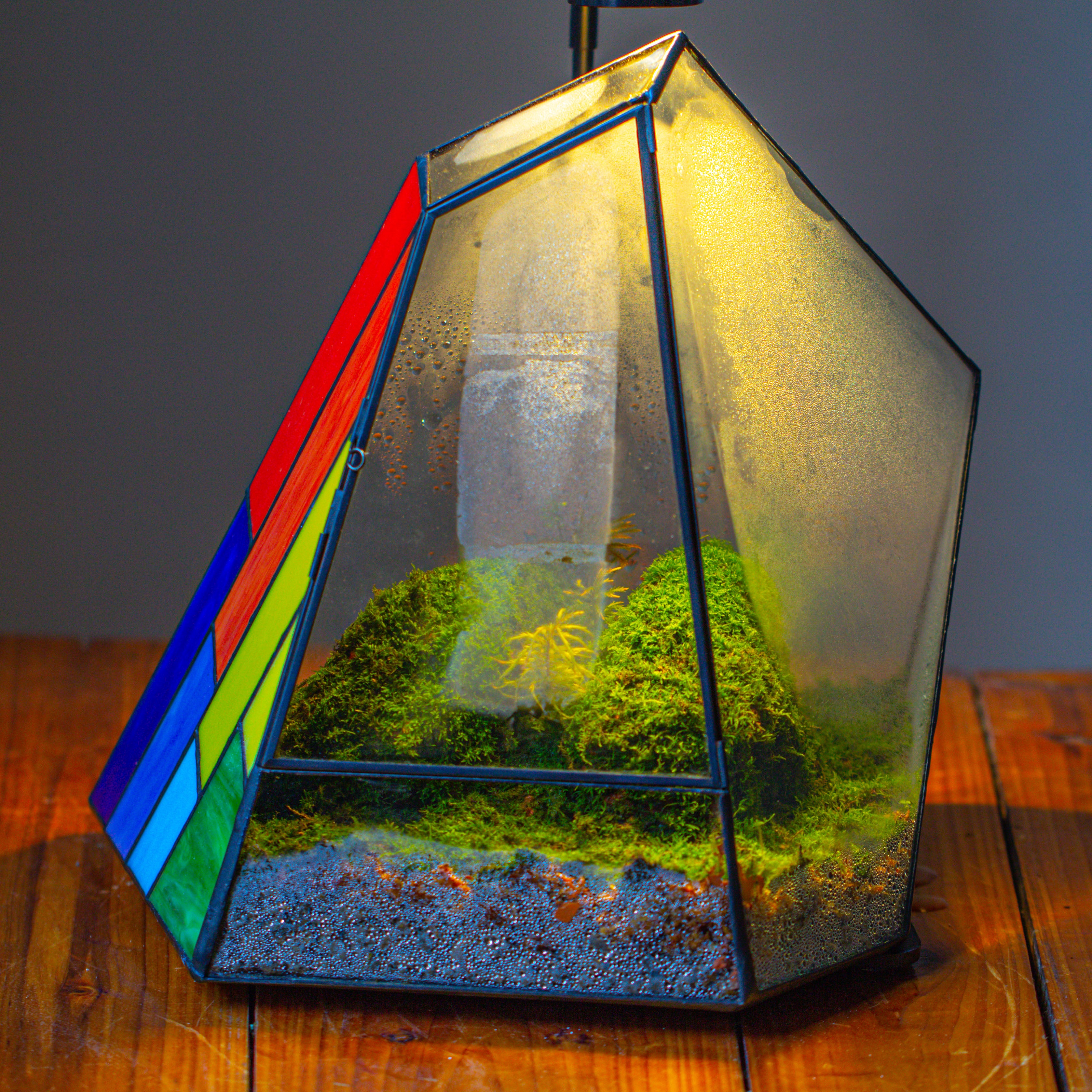 Rainbow Stained Glass Irregular Geometric Ice Peak  Shape Terrarium, Close - NCYPgarden
