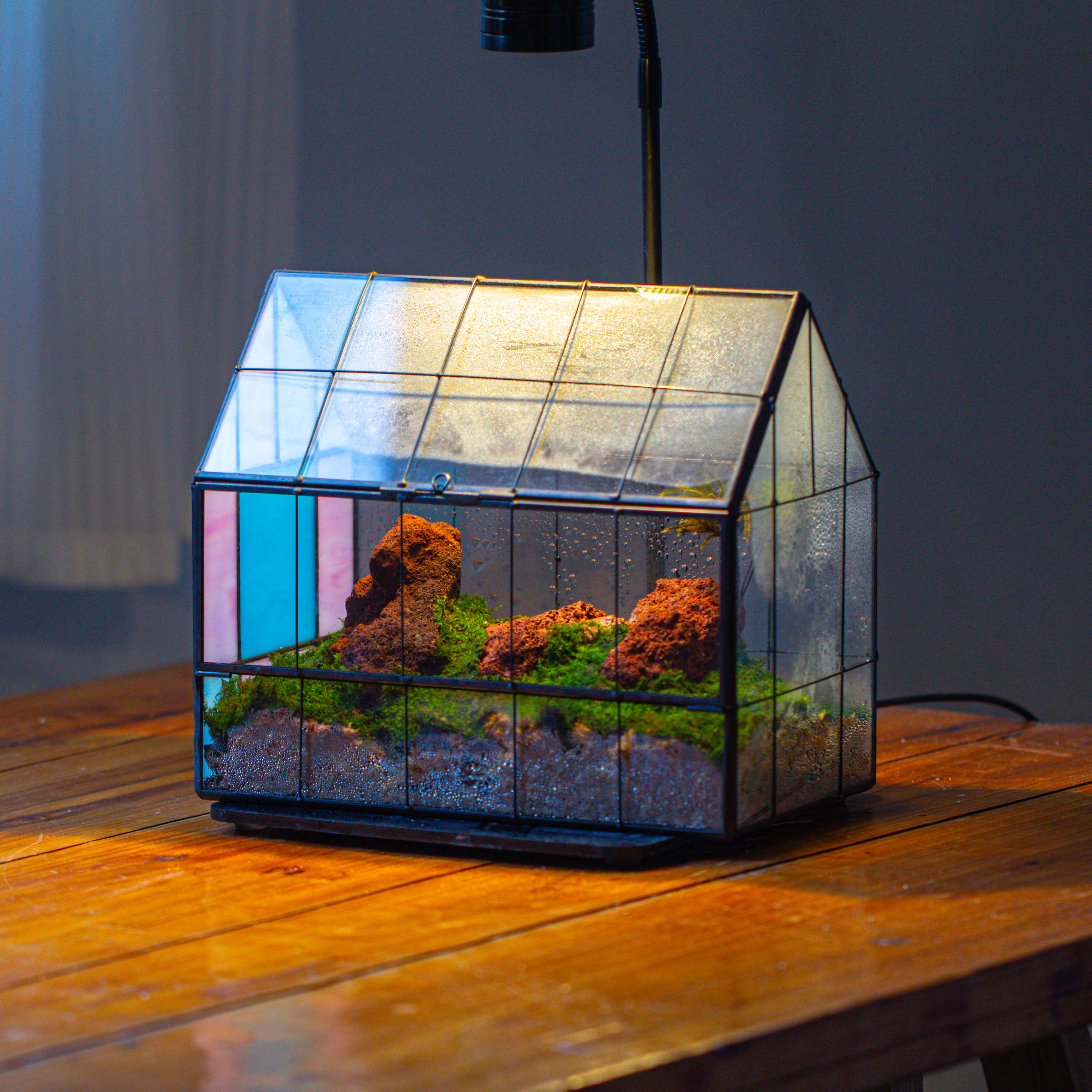 Blue Pink White  Stained Glass House Shape Geometric Terrarium, Vintage Style, Close - NCYPgarden