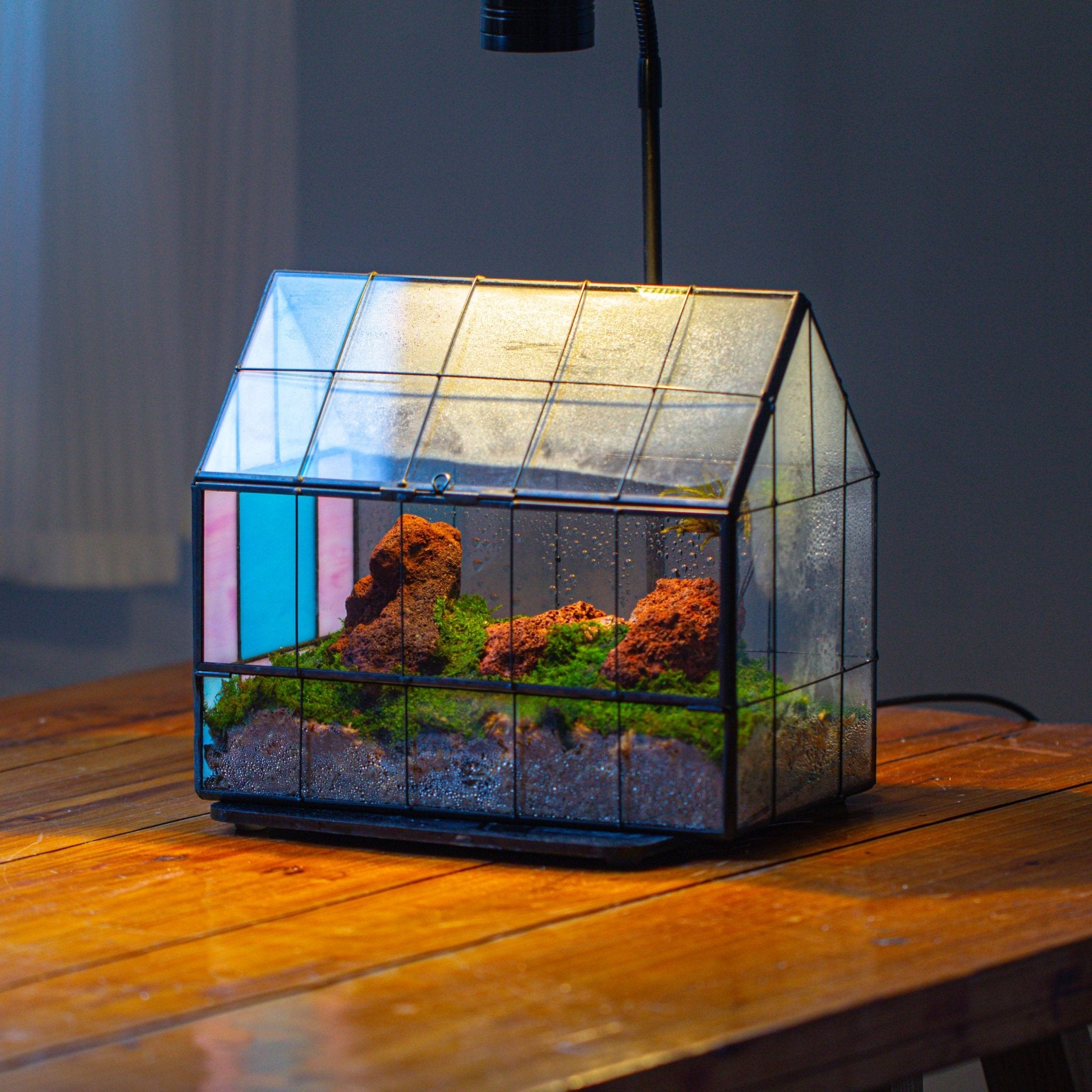stained glass house plants Blue Pink White Stained Glass House Shape Geometric Terrarium, Vintage Style, Close