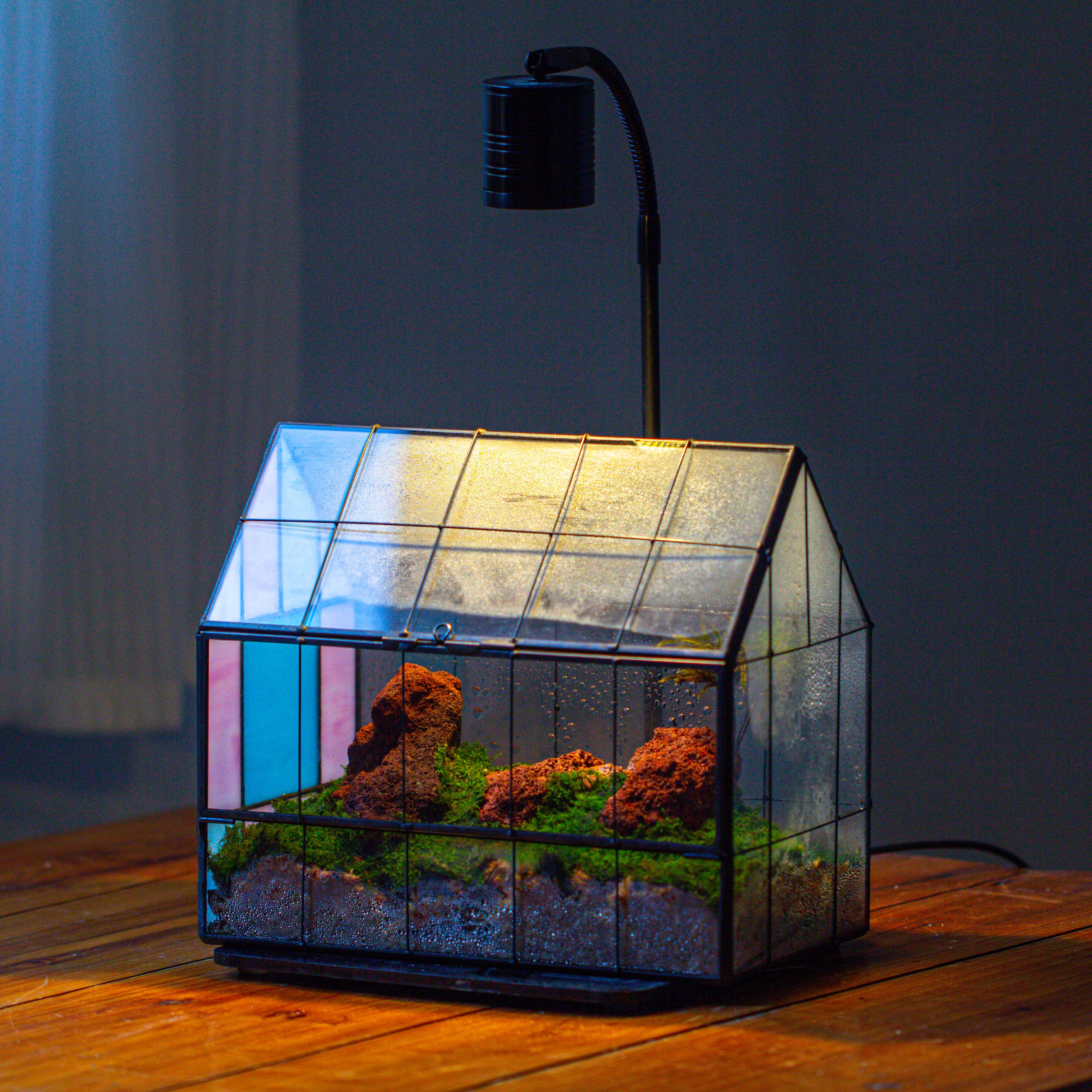 Blue Pink White  Stained Glass House Shape Geometric Terrarium, Vintage Style, Close - NCYPgarden