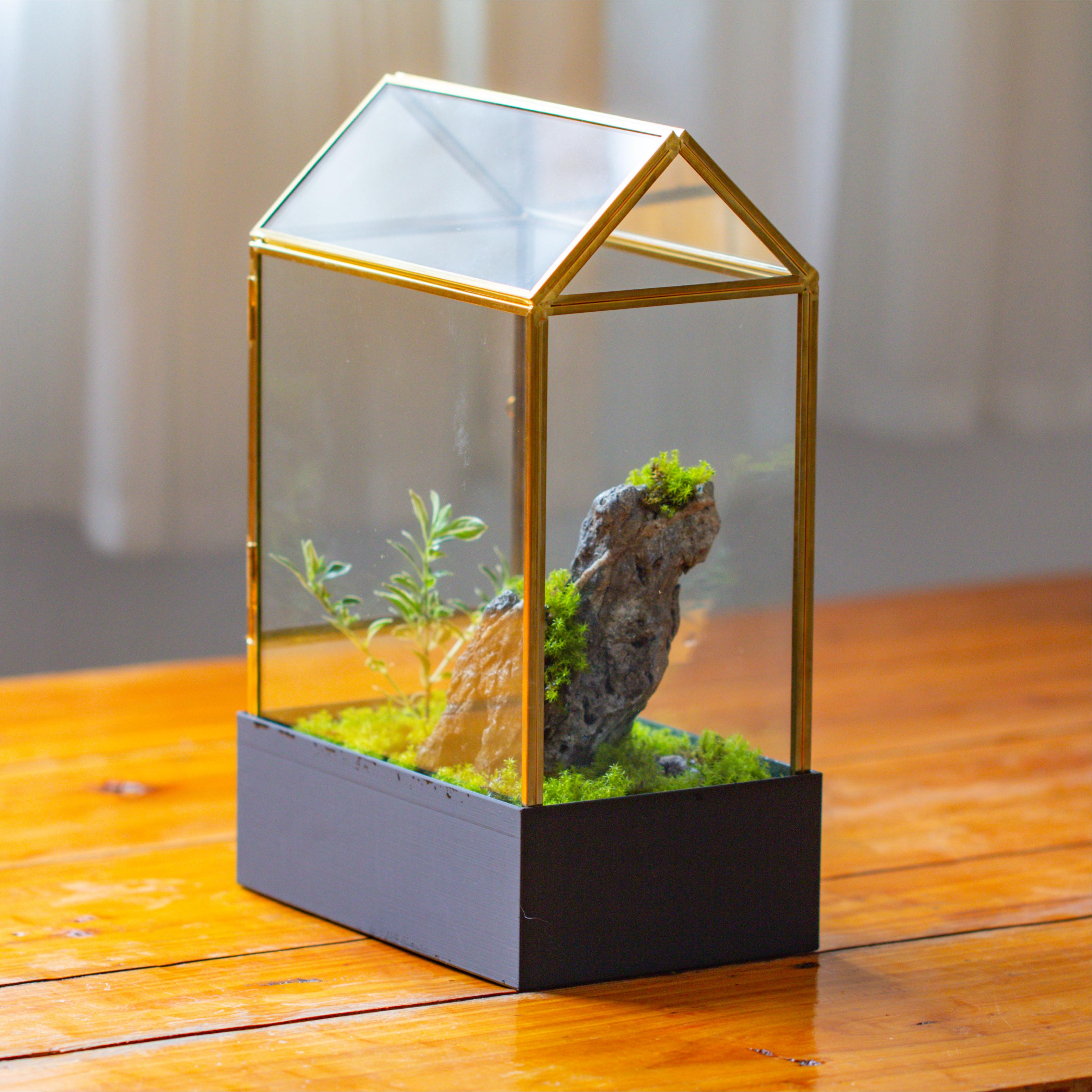 11“ Tall Gold Glass Terrarium with Water-Holding Base and Side Door