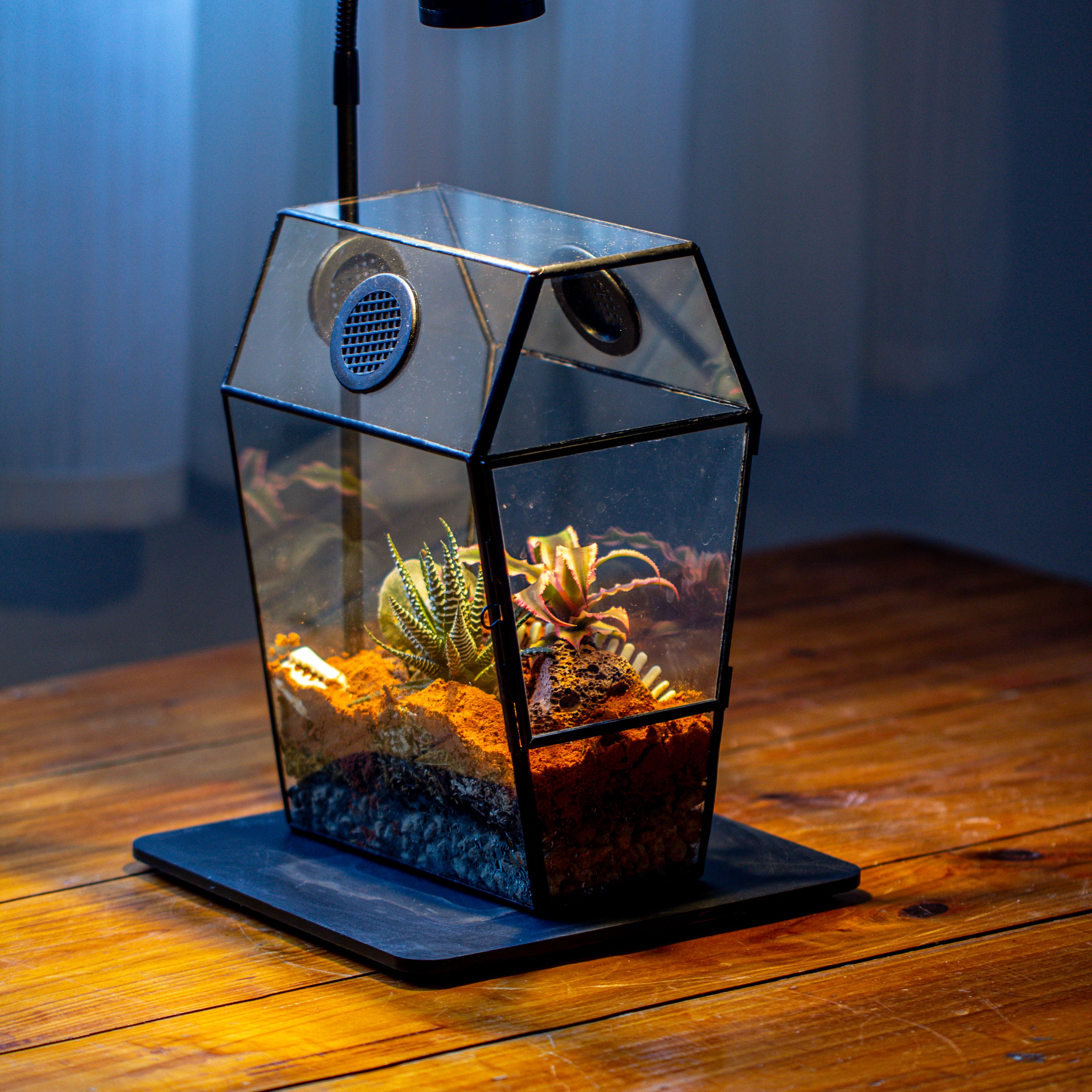 Coffin-Shaped Tin Glass Terrarium Enclosure, Gothic Style, for Jumping Spider, Insects, Snails - NCYPgarden