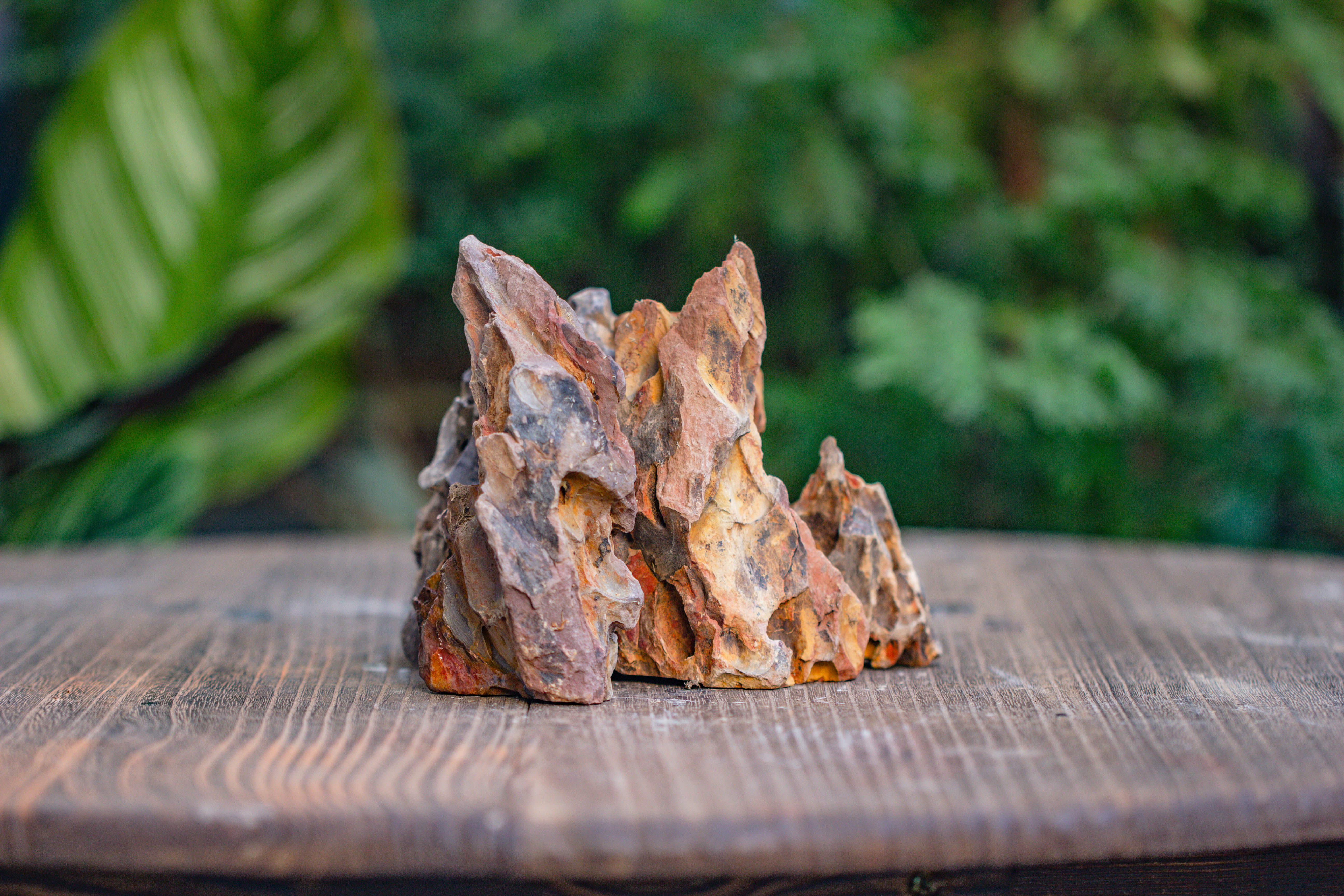 2-6" / 5-15cm cutted Flat bottom Natural Ohko Dragon Stone Rock for Terrarium, Aquarium Bonsai Landscape, 2kg/4.4lb, with DIY tools - NCYPgarden