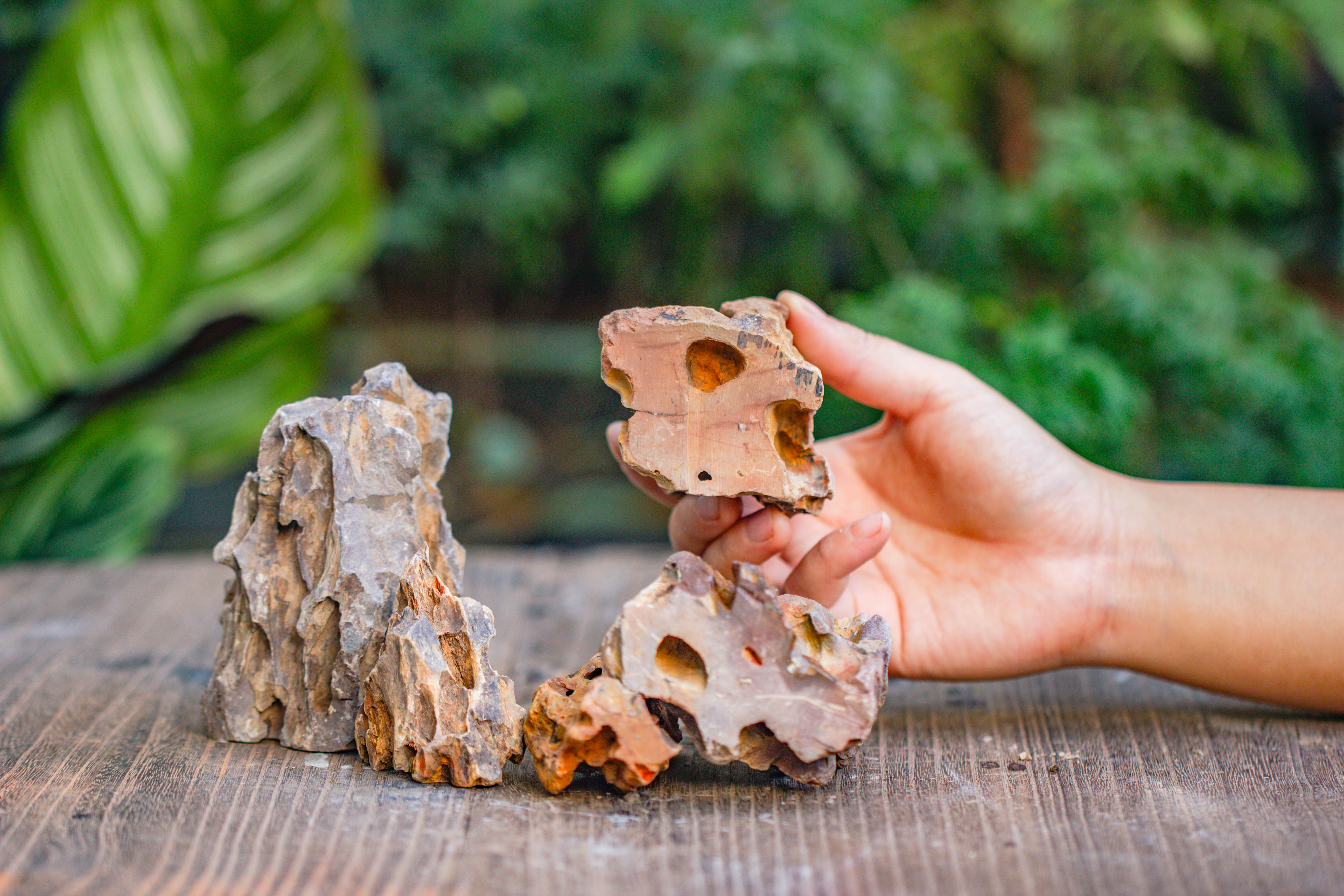 2-6" / 5-15cm cutted Flat bottom Natural Ohko Dragon Stone Rock for Terrarium, Aquarium Bonsai Landscape, 2kg/4.4lb, with DIY tools - NCYPgarden