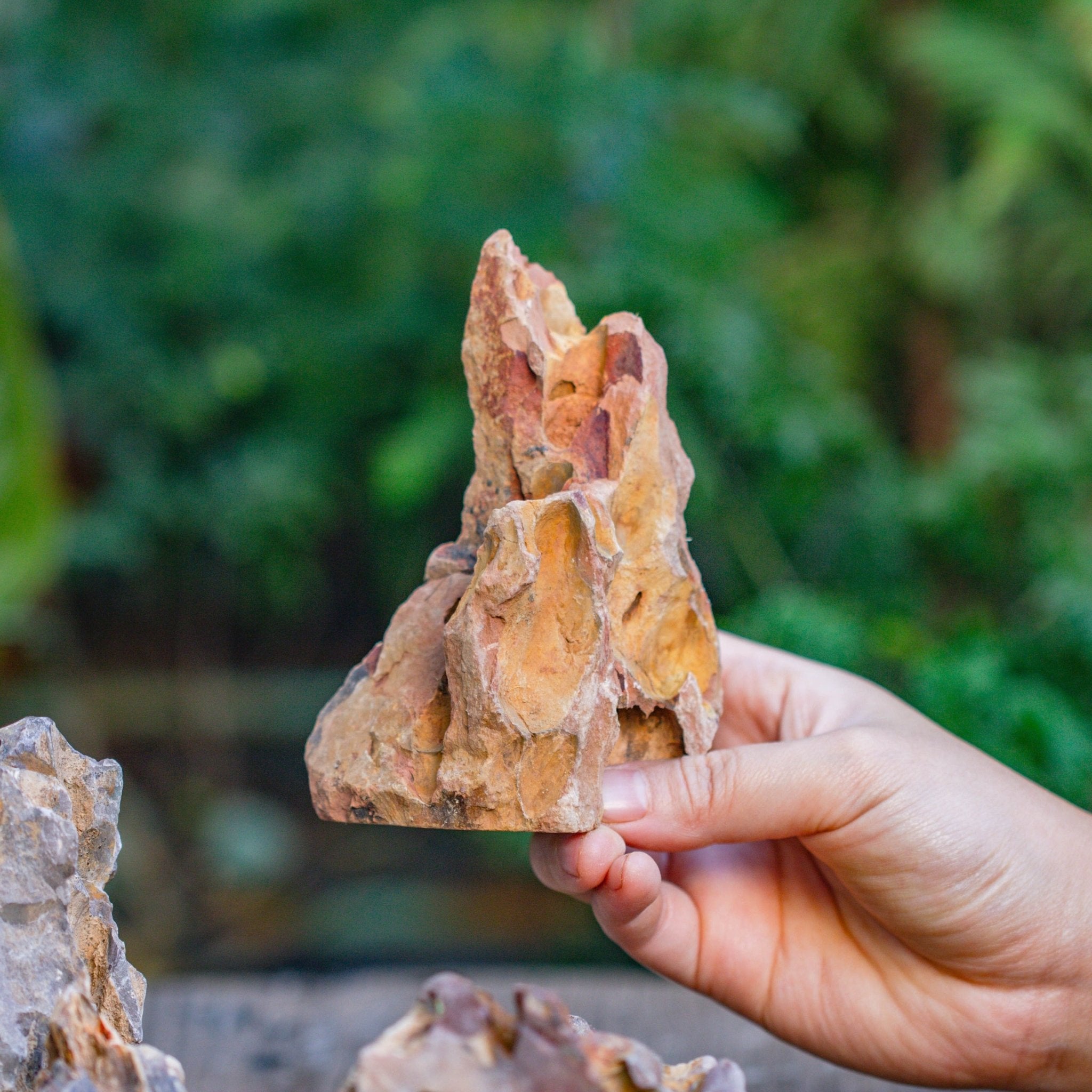 Natural Ohko Dragon Stone Rock for Terrarium – NCYPgarden