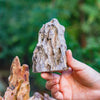 2-6" / 5-15cm cutted Flat bottom Natural Ohko Dragon Stone Rock for Terrarium, Aquarium Bonsai Landscape, 2kg/4.4lb, with DIY tools - NCYPgarden