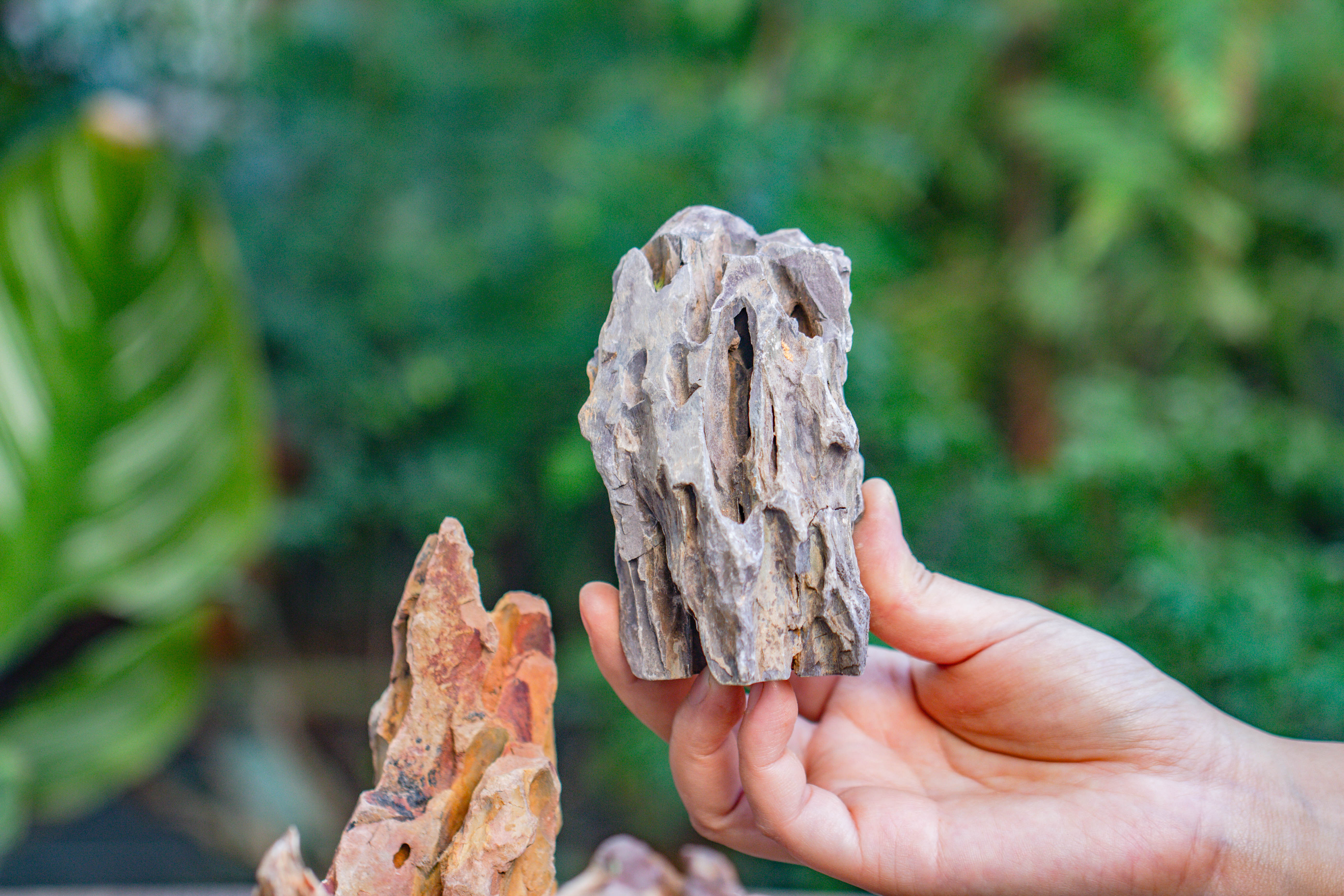 2-6" / 5-15cm cutted Flat bottom Natural Ohko Dragon Stone Rock for Terrarium, Aquarium Bonsai Landscape, 2kg/4.4lb, with DIY tools - NCYPgarden