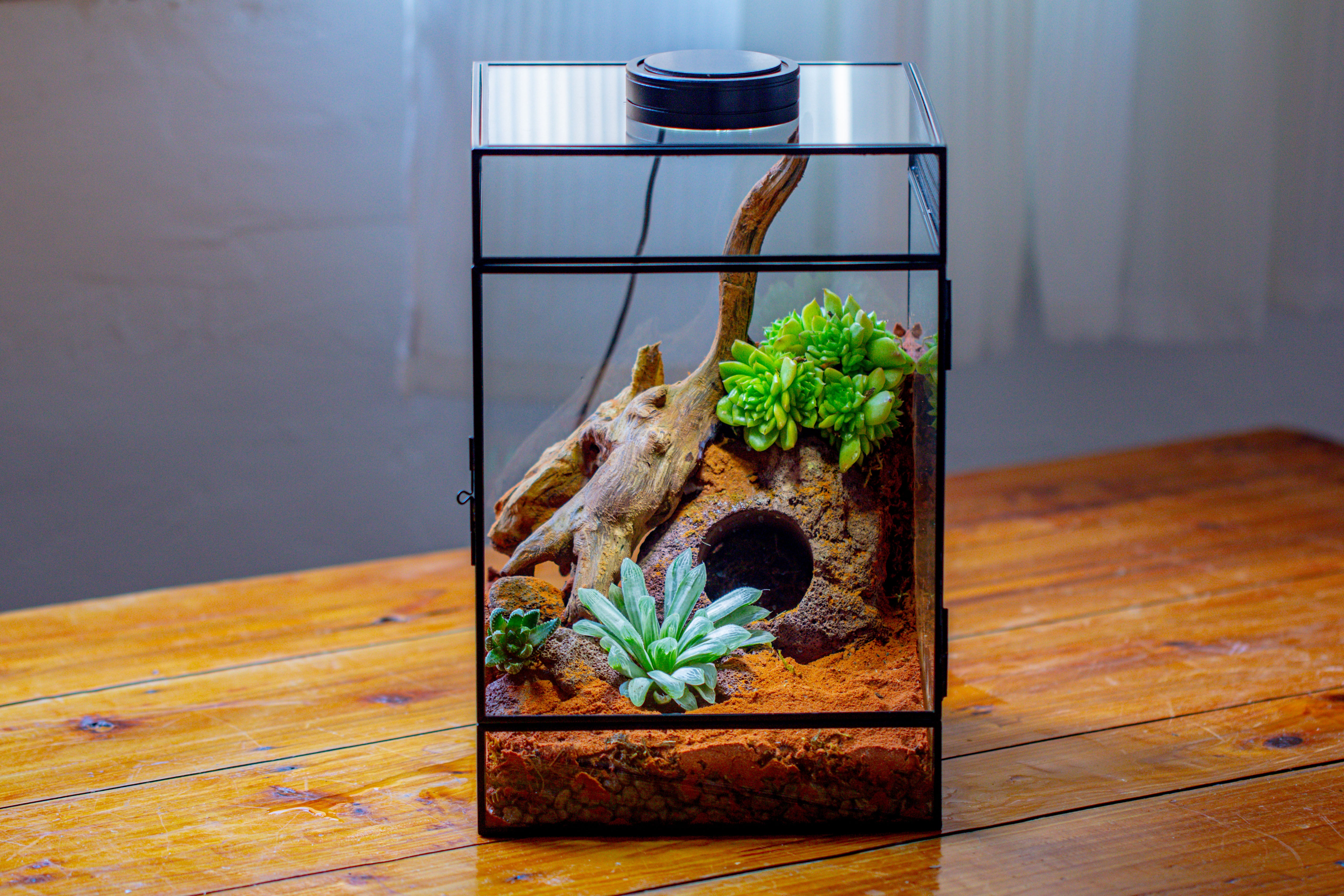 8x8x12 inches Large Handmade Glass Geometric Terrarium with Side Vent, for large insects - NCYPgarden